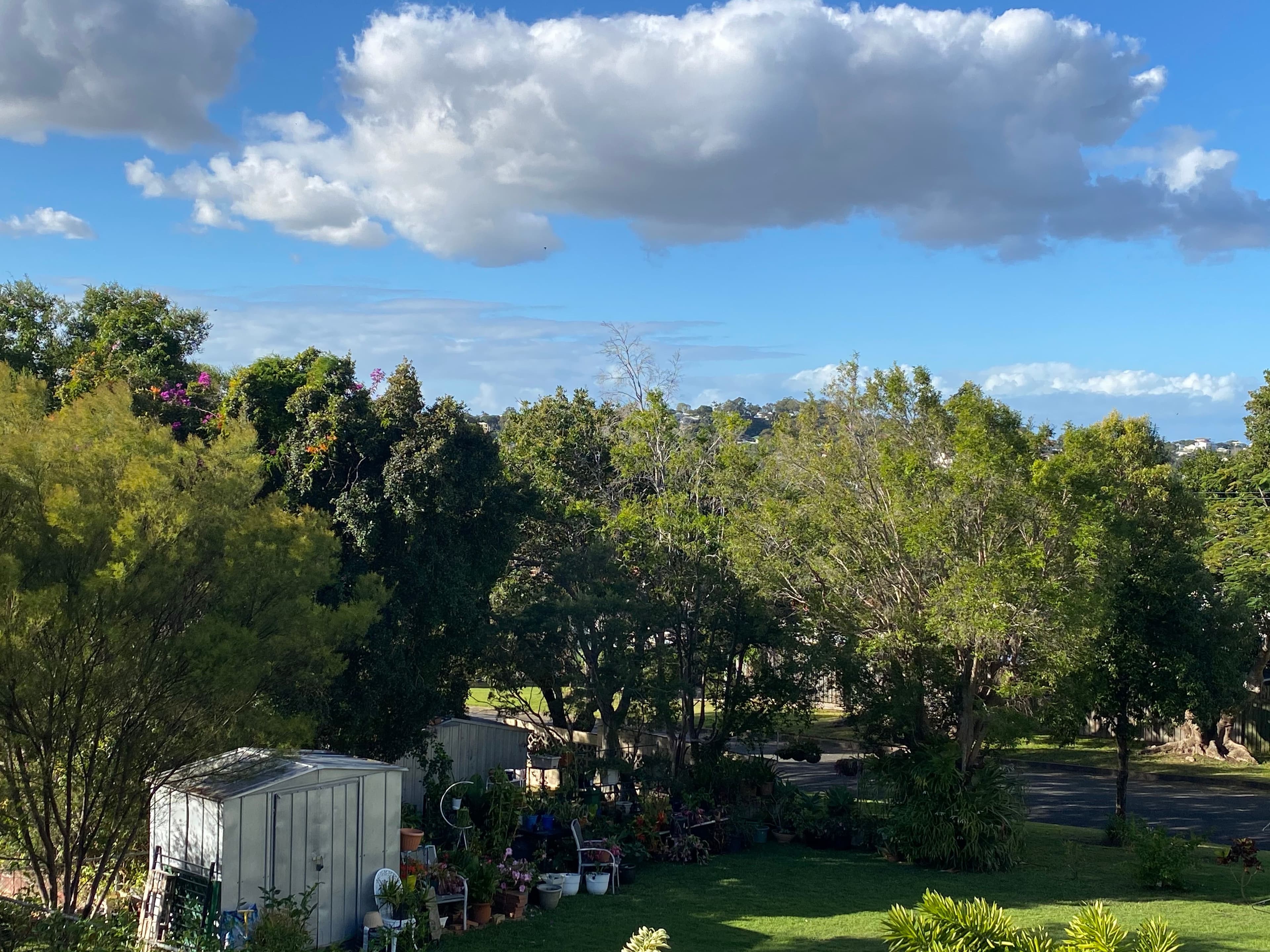 41 Webb Street, Stafford QLD 4053, Stafford - Thumbnail 2