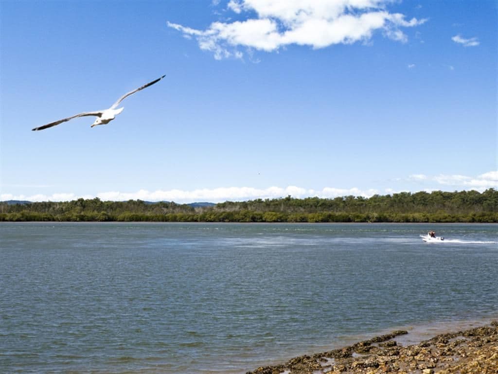 32 Ariadne Street, RIVER HEADS QLD 4655, River Heads - Thumbnail 7