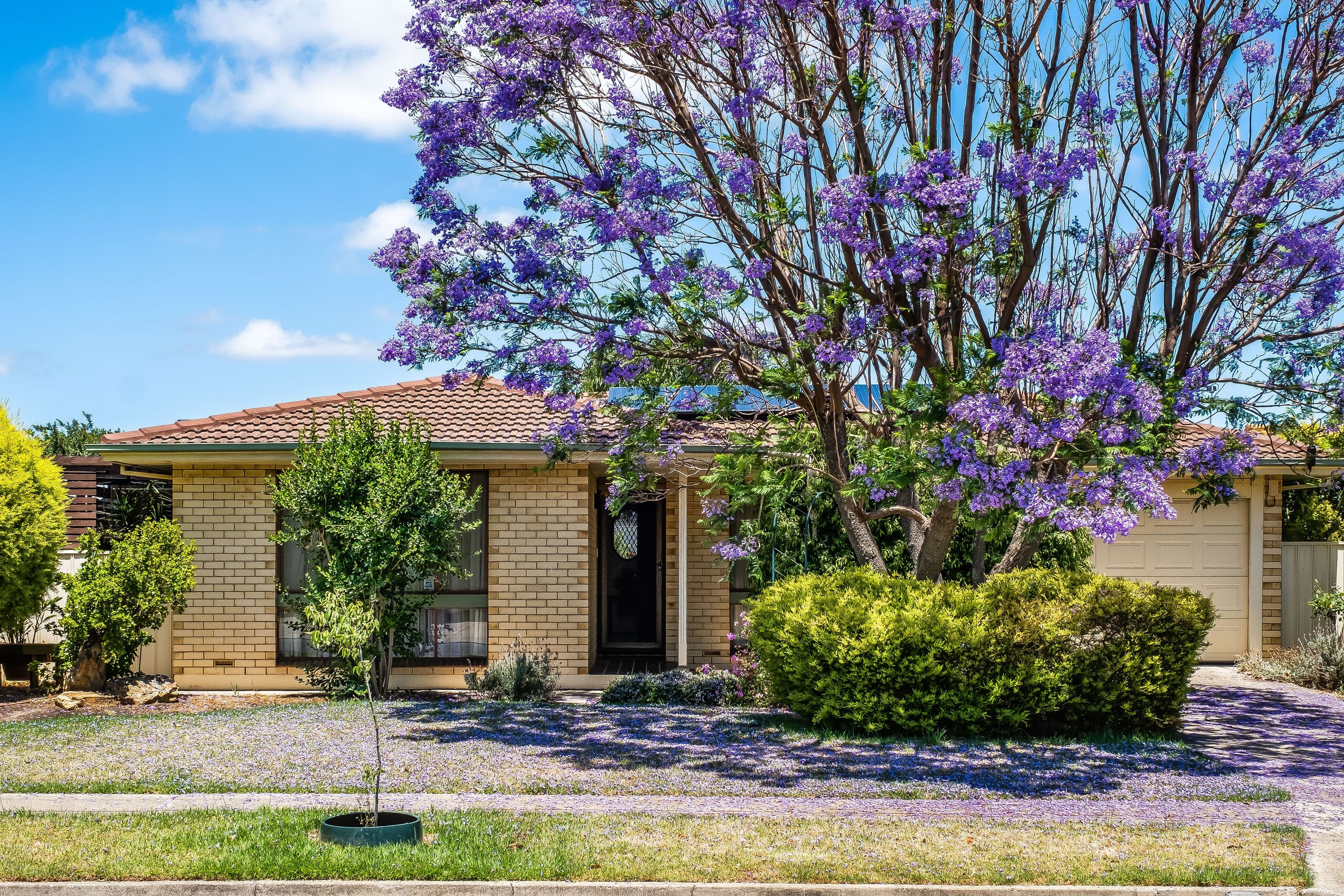 62 Helmsdale Avenue, Glengowrie SA 5044, Glengowrie - Image 1