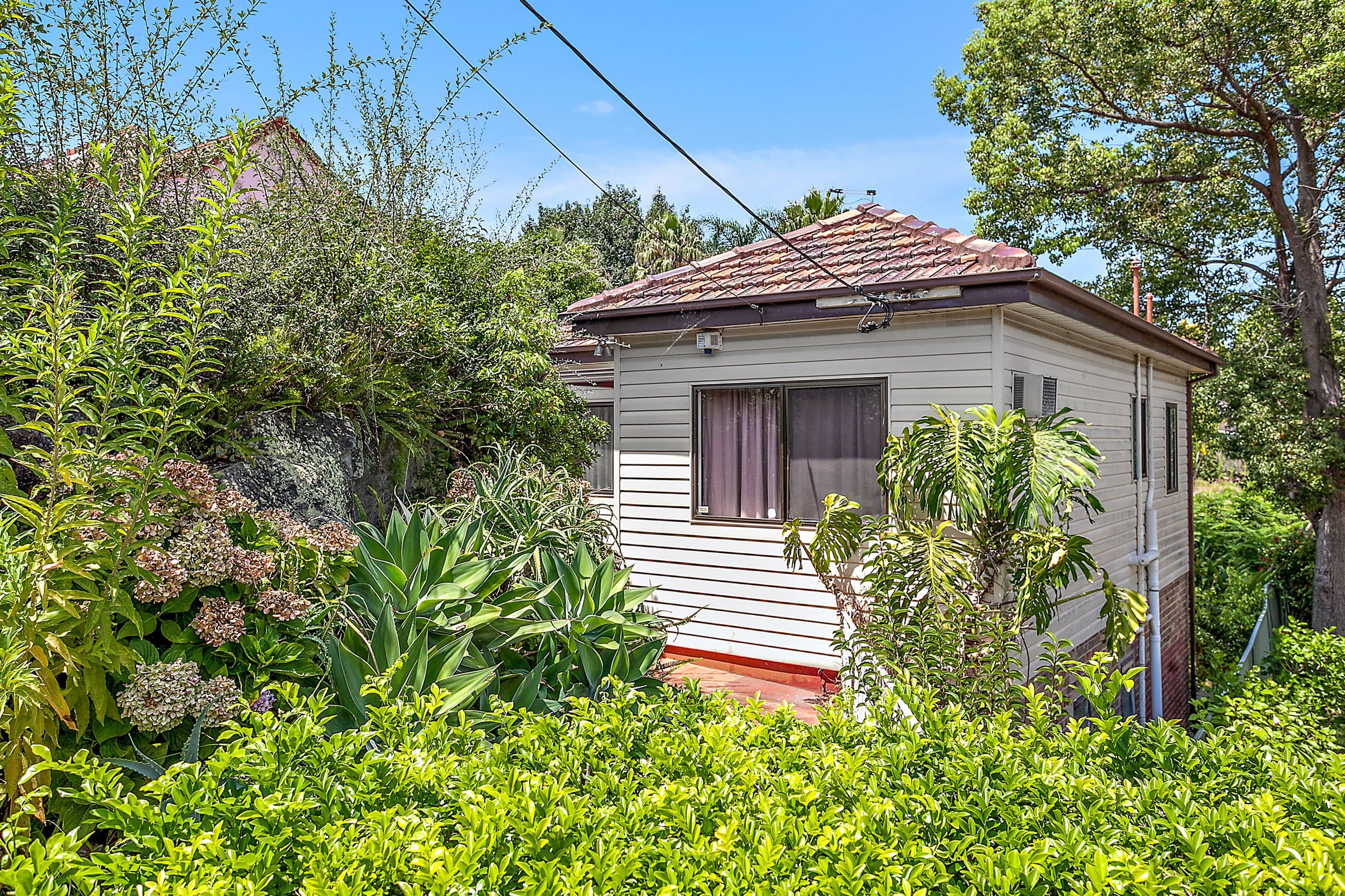 65 Beaconsfield Street, Bexley NSW 2207, Bexley - Image 1