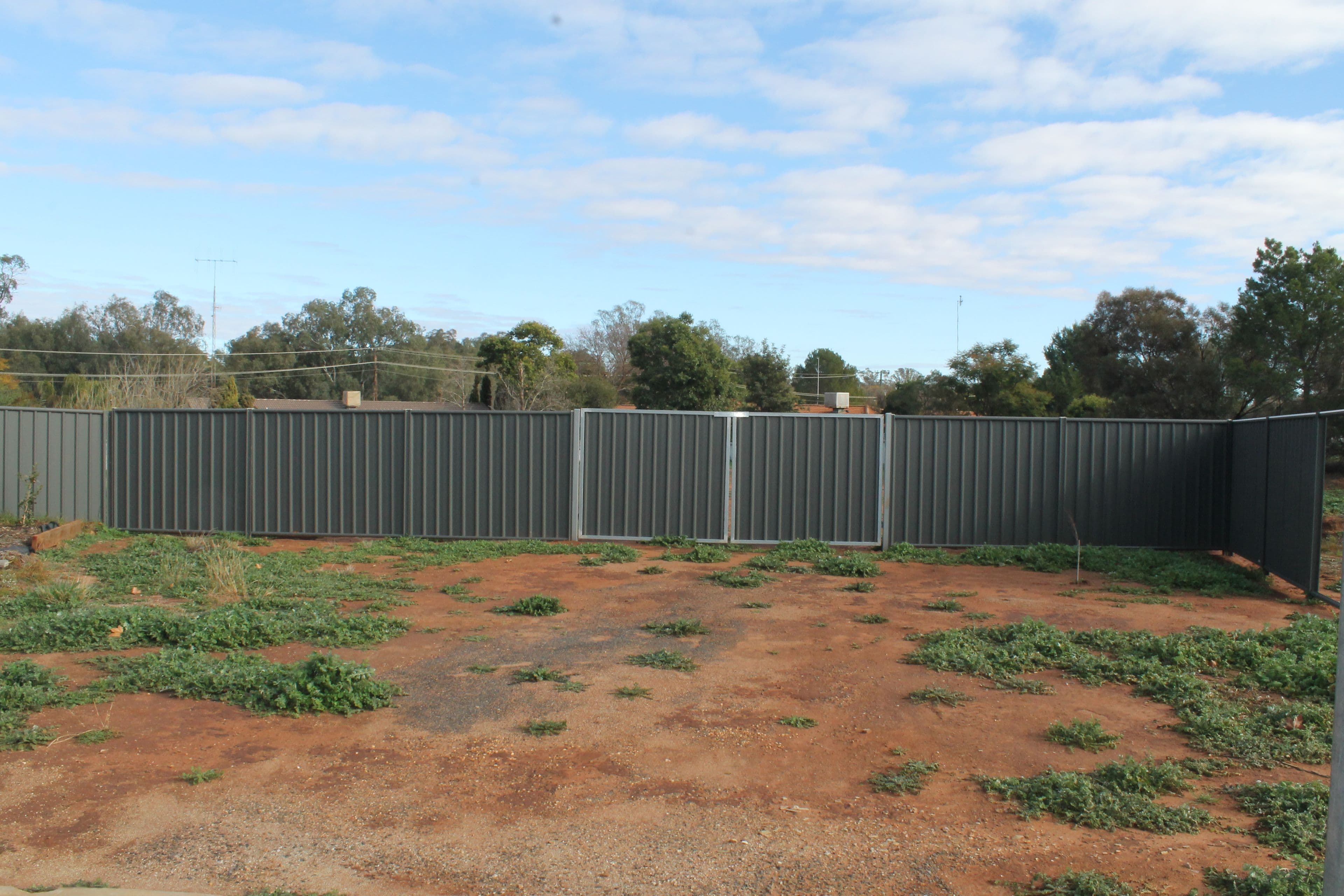 11 Randall Place, Condobolin NSW 2877, Condobolin - Image 1