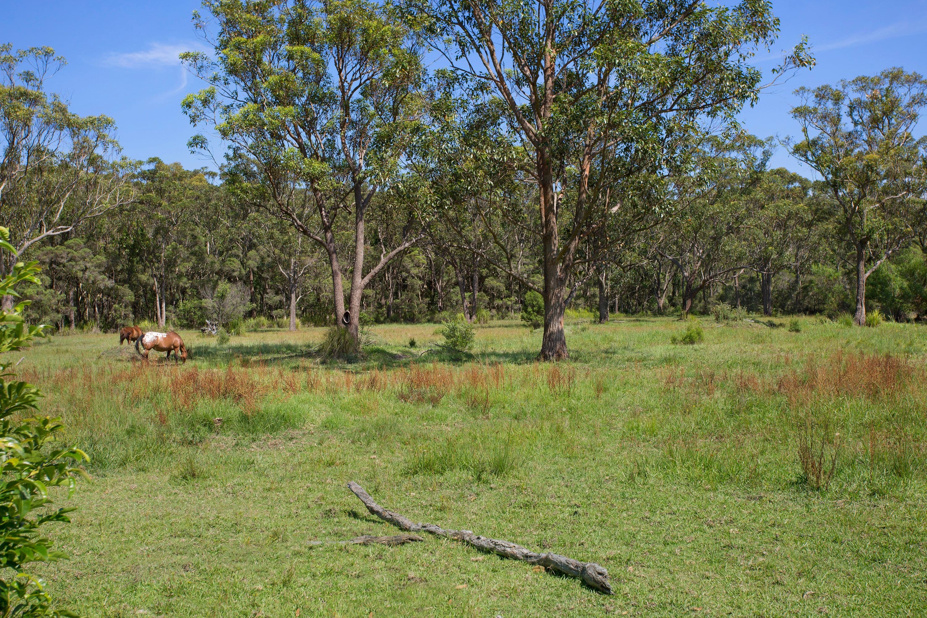 5 Hicks Lane, Tumbi Umbi NSW 2261, Tumbi Umbi - Thumbnail 3