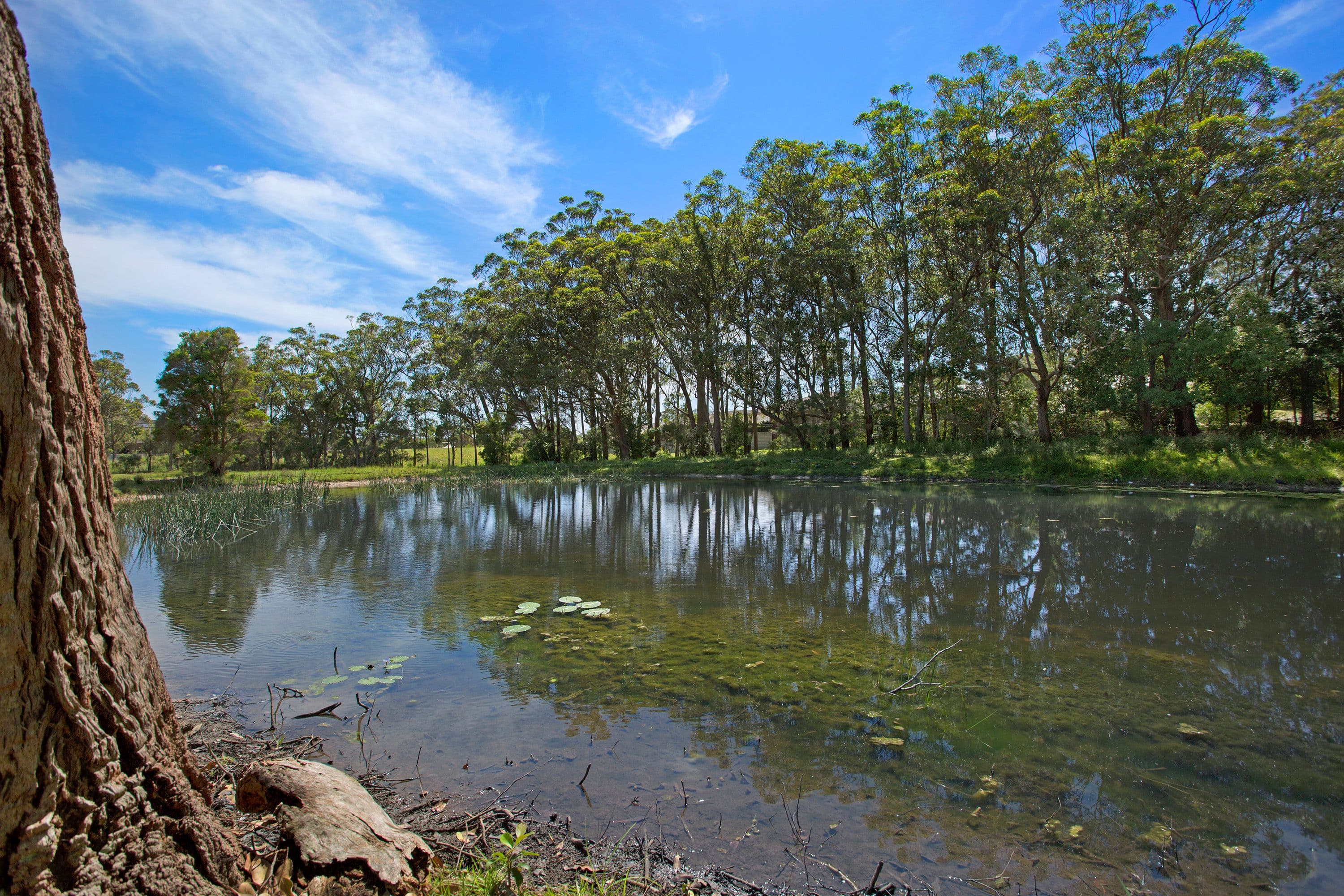5 Hicks Lane, Tumbi Umbi NSW 2261, Tumbi Umbi - Thumbnail 4