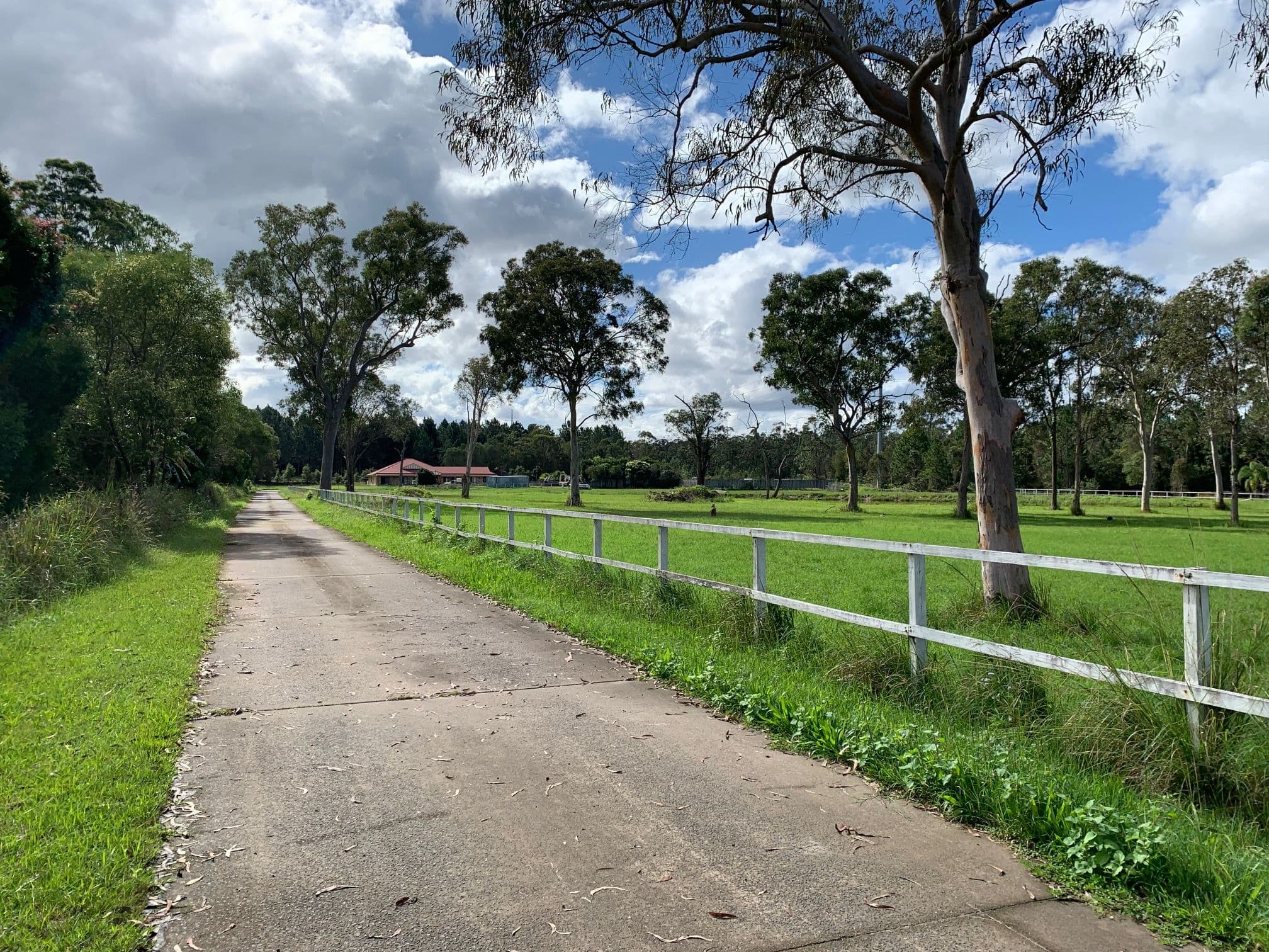 278 Rosia Road, Park Ridge QLD 4125, Park Ridge - Thumbnail 3