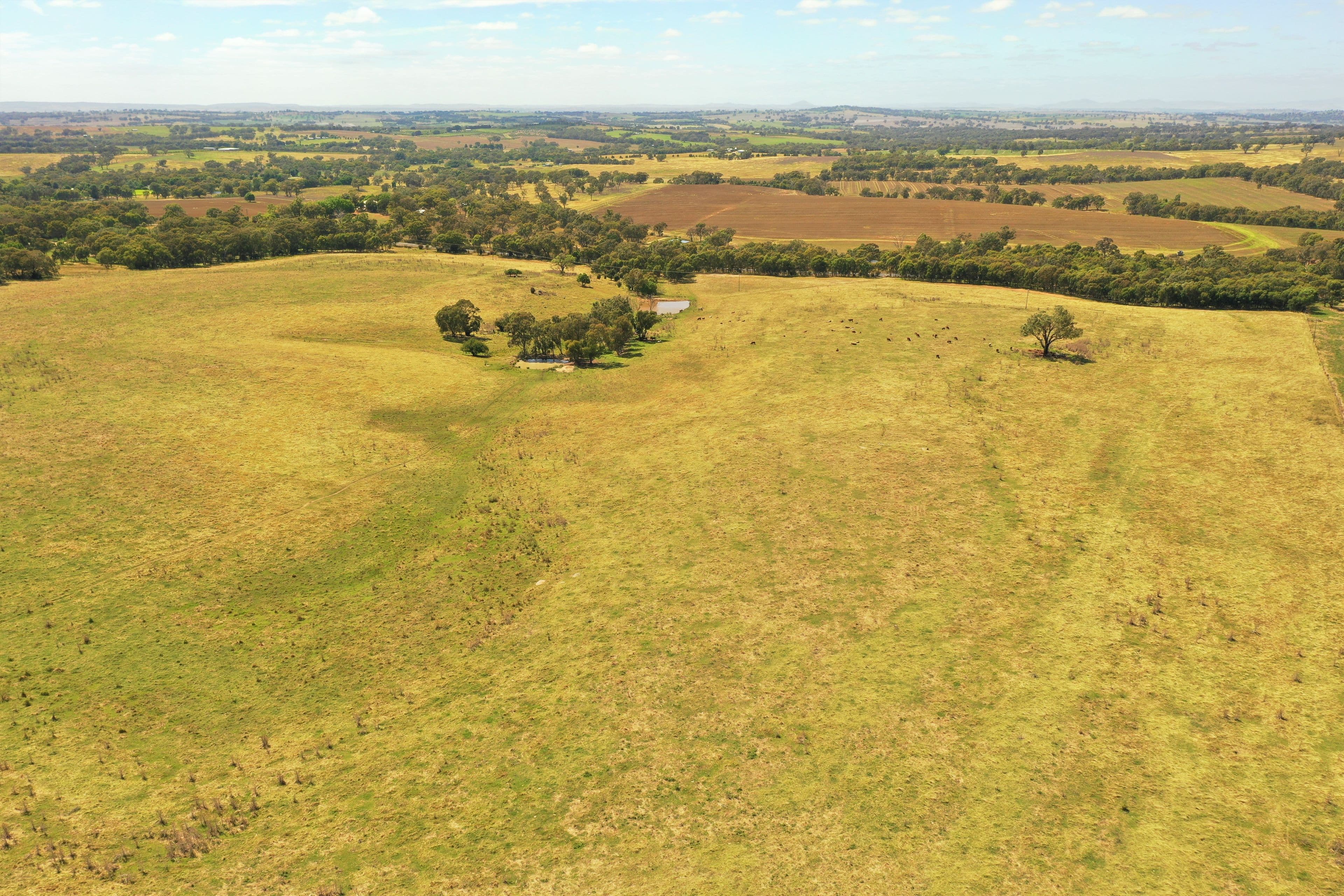 Lots 82, 83 & 84 Olympic Highway Via Wombat, Young NSW 2594, Young - Thumbnail 2