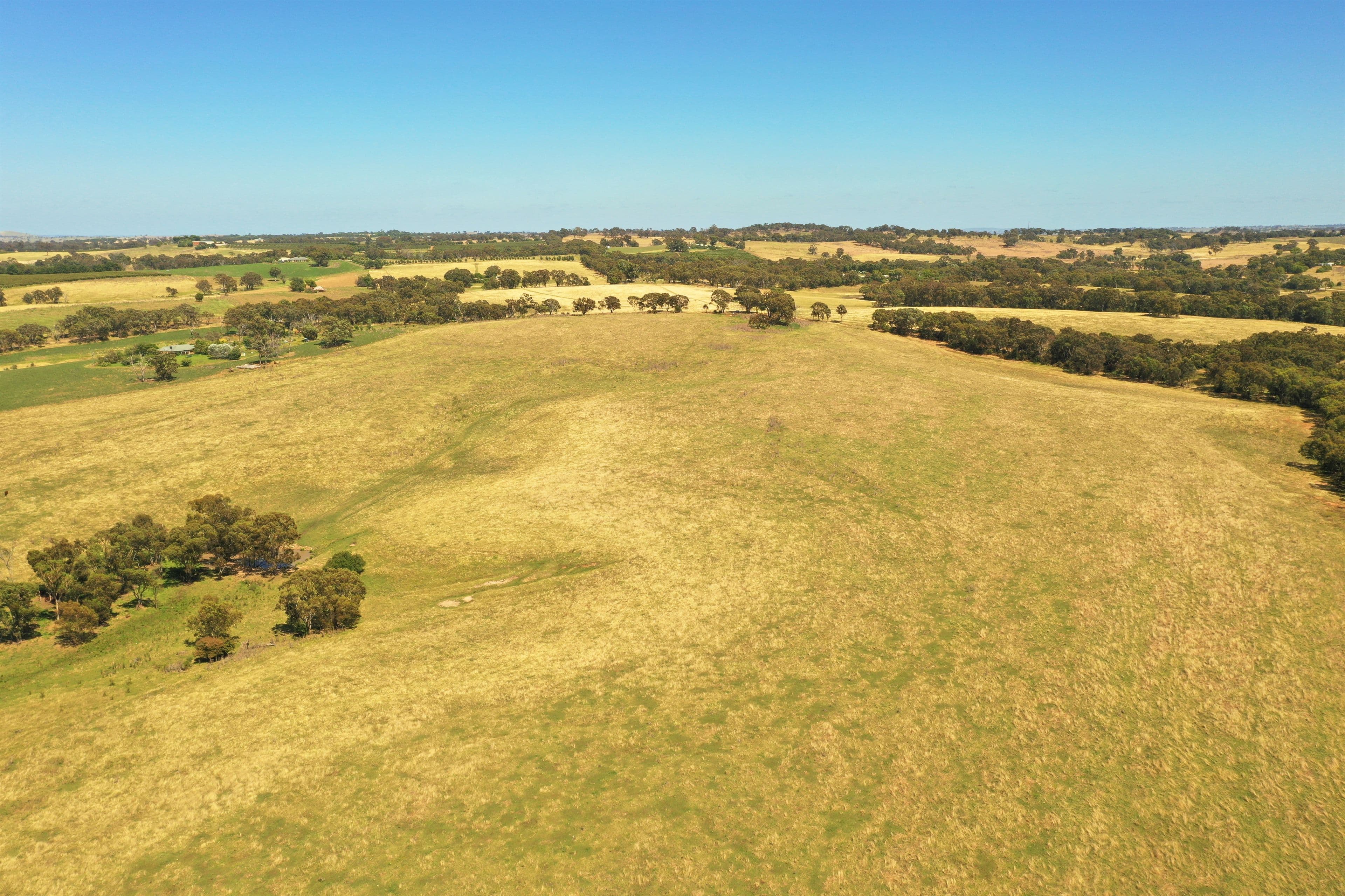 Lots 82, 83 & 84 Olympic Highway Via Wombat, Young NSW 2594, Young - Thumbnail 5