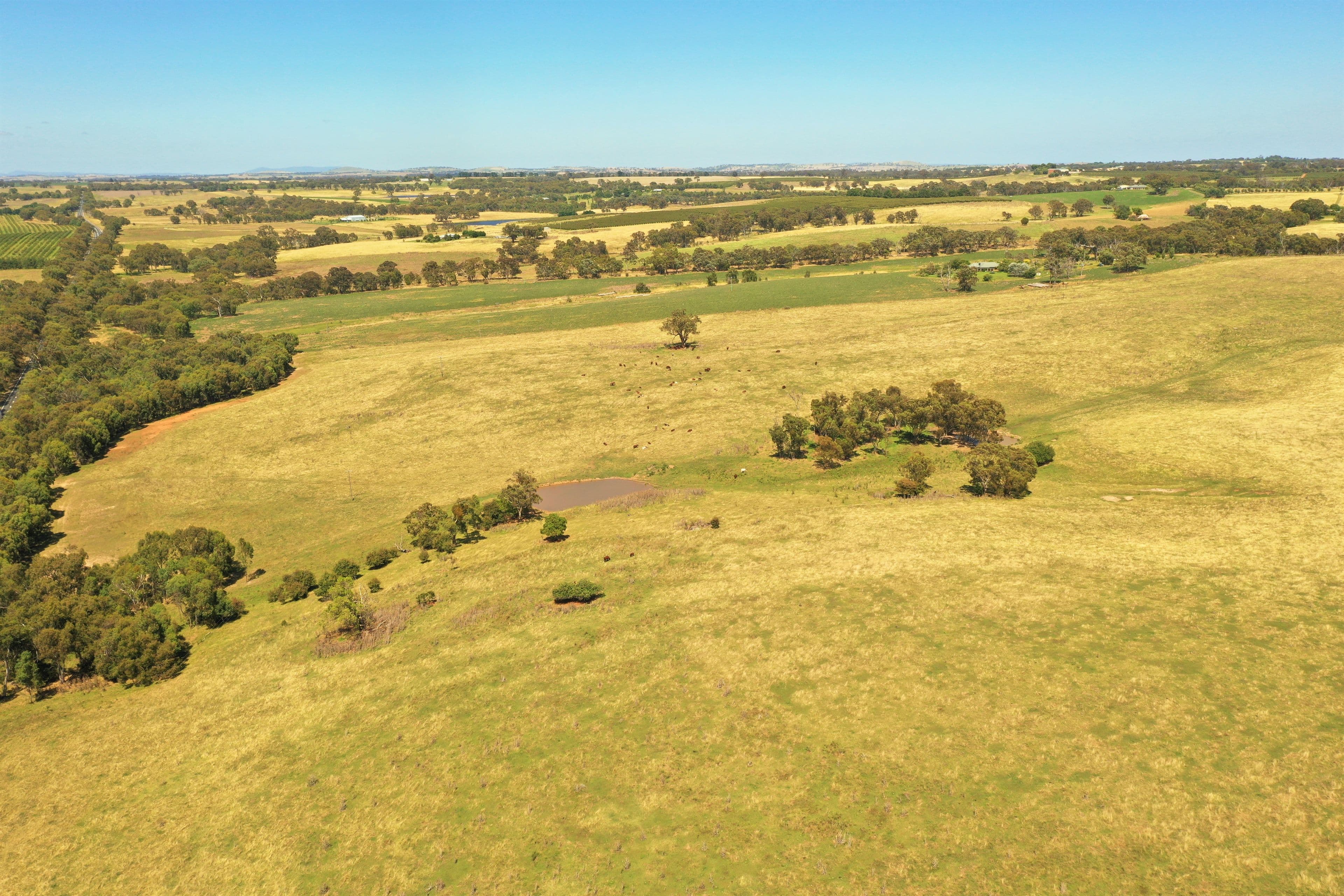 Lots 82, 83 & 84 Olympic Highway Via Wombat, Young NSW 2594, Young - Thumbnail 6