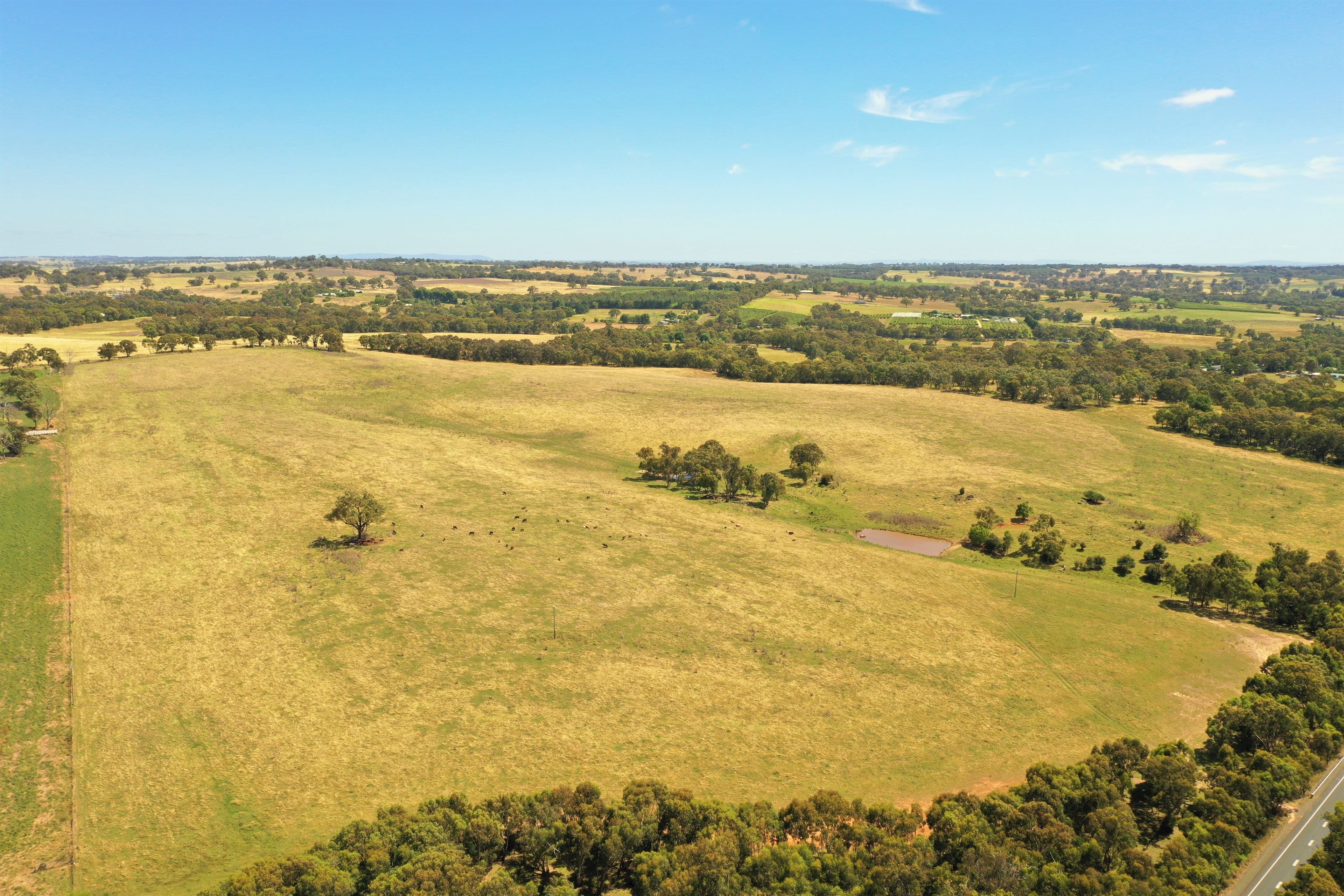 Lots 82, 83 & 84 Olympic Highway Via Wombat, Young NSW 2594, Young - Thumbnail 8