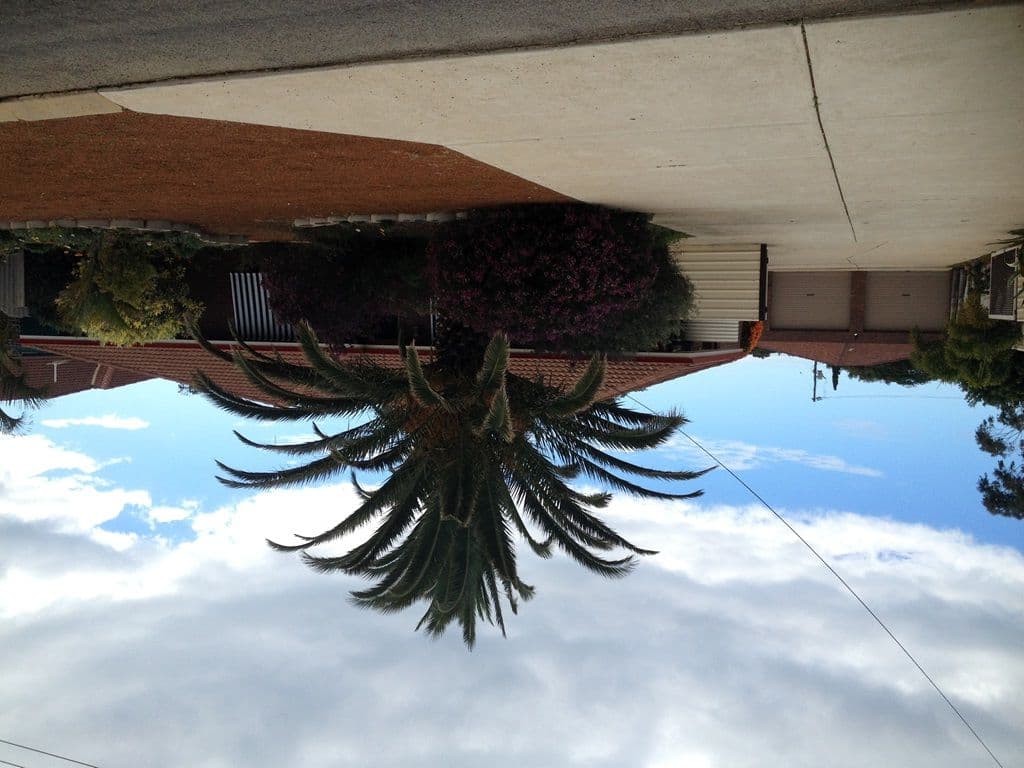 36 Hamersley Street, SPALDING WA 6530, Spalding - Thumbnail 2