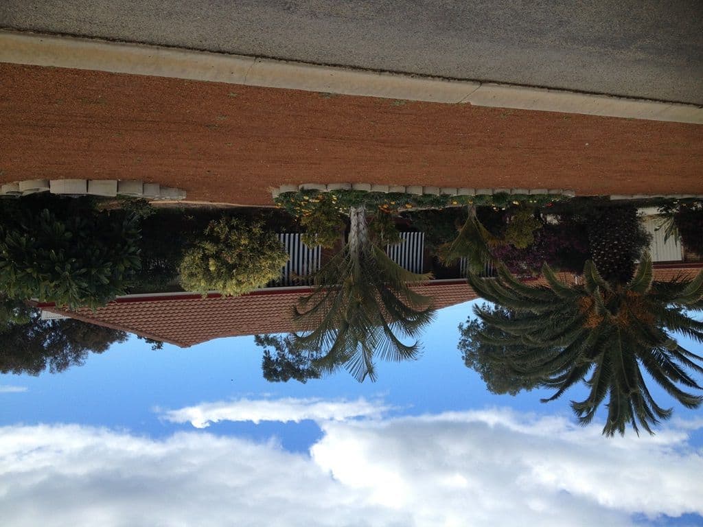 36 Hamersley Street, SPALDING WA 6530, Spalding - Thumbnail 4
