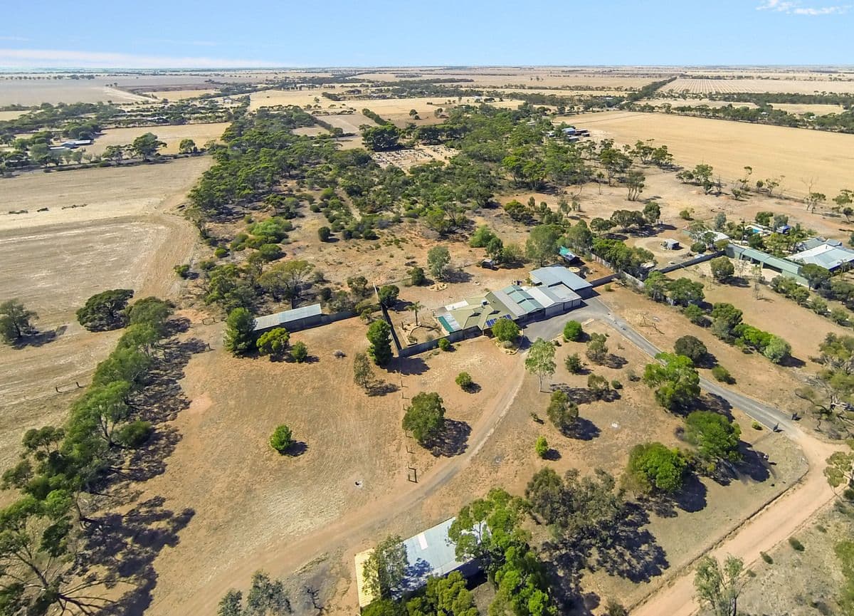 33 Park Road, OWEN SA 5460, Owen - Thumbnail 2