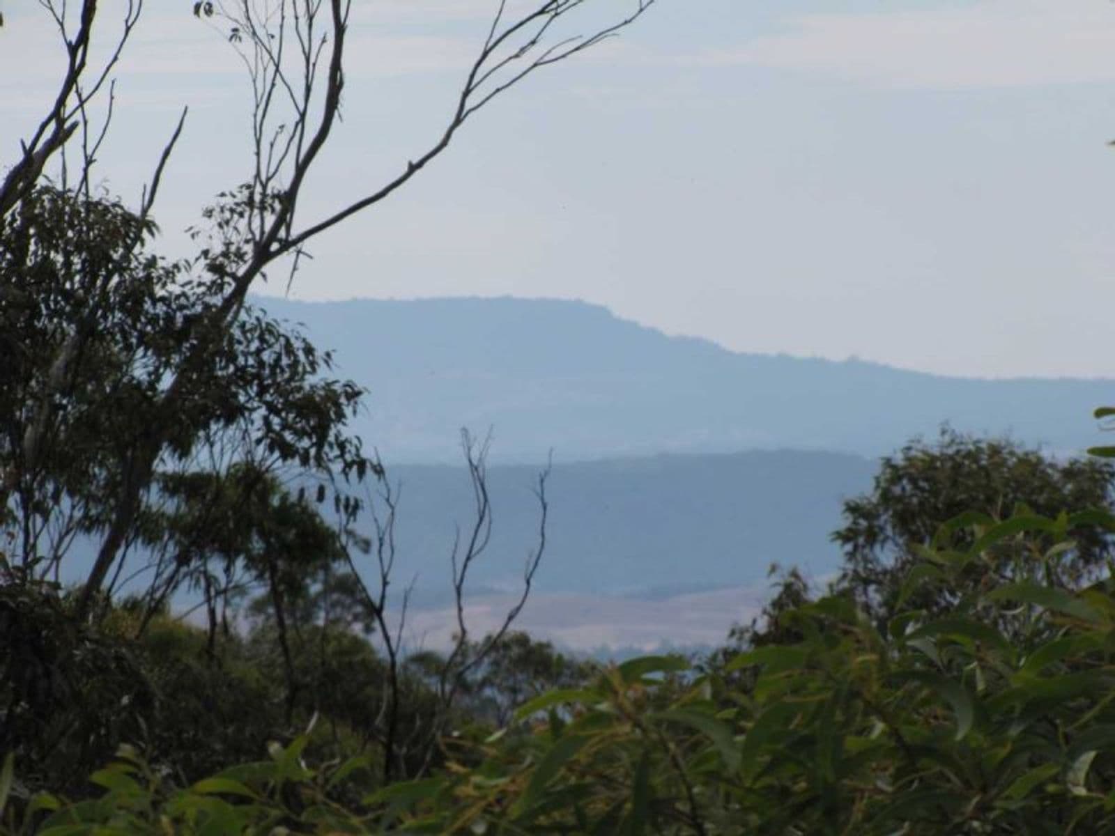 16 Mudflat Rd, Drake, NSW 2469, Drake Village - Thumbnail 7