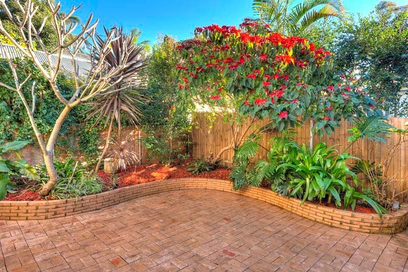 227 Ernest Street, CAMMERAY NSW 2062, Cammeray - Thumbnail 2