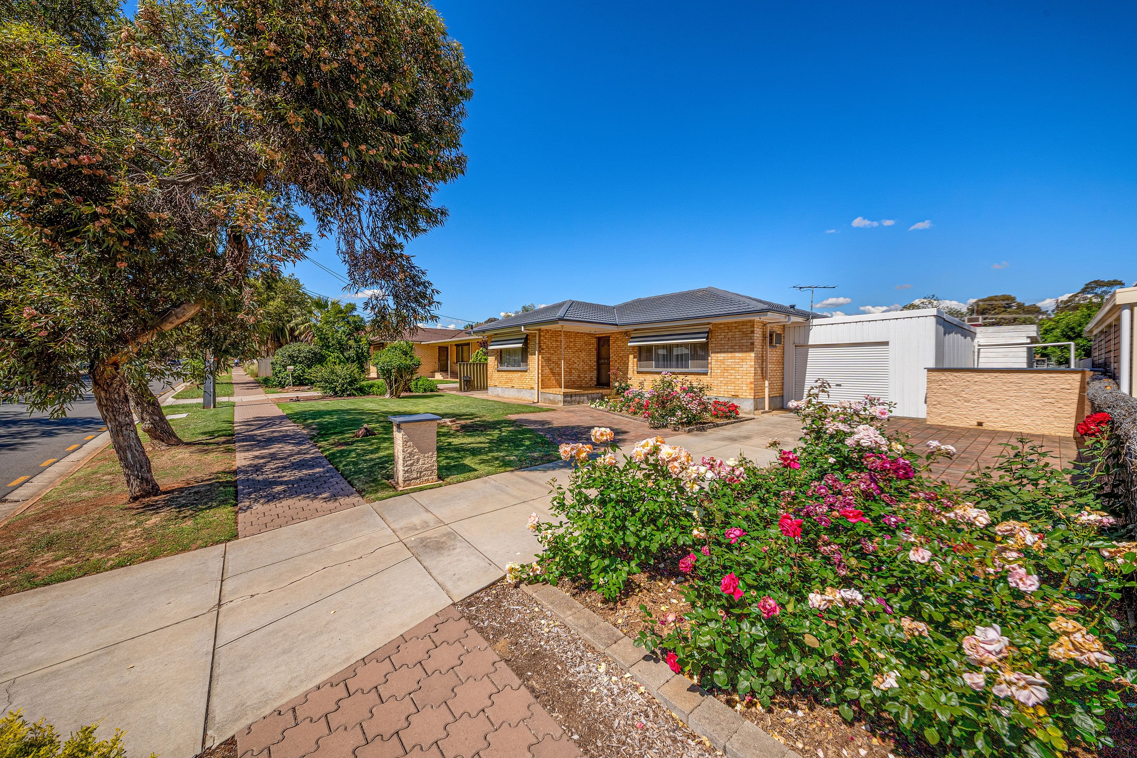11 London Drive, Salisbury East SA 5109, Salisbury East - Thumbnail 3