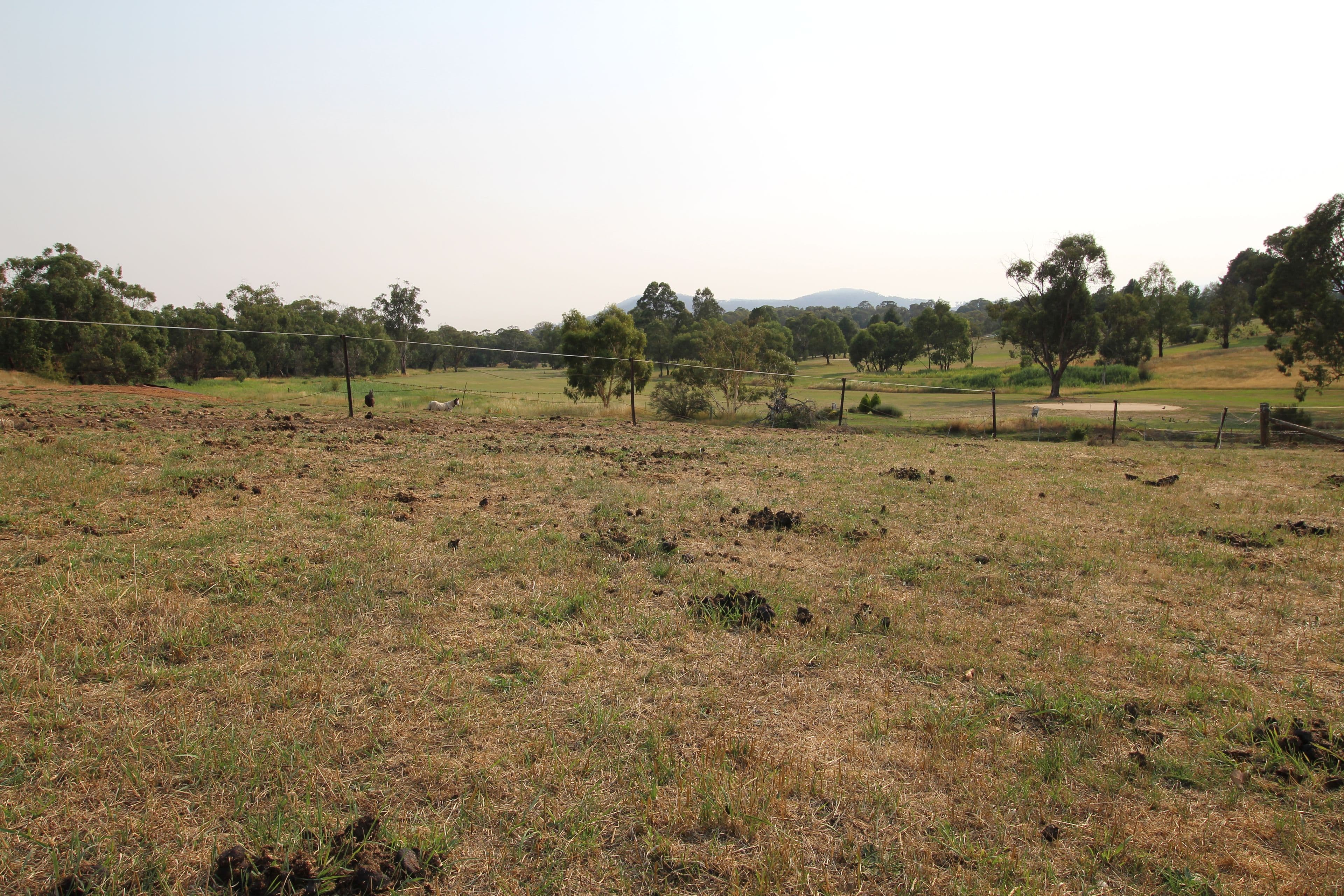 116 (lot 5) Batlow Road, Tumbarumba NSW 2653, Tumbarumba - Image 1