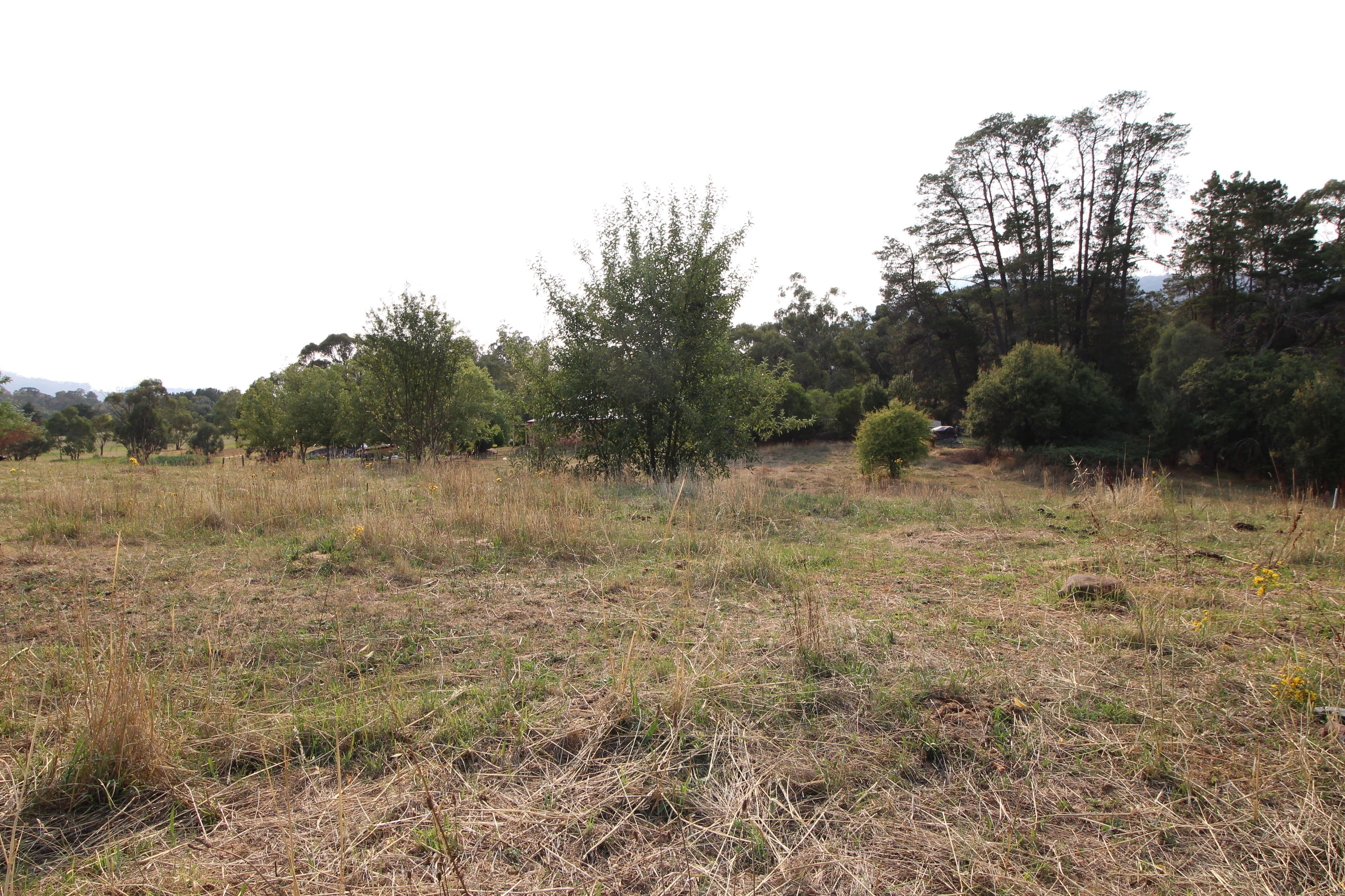 116 (lot 5) Batlow Road, Tumbarumba NSW 2653, Tumbarumba - Thumbnail 2