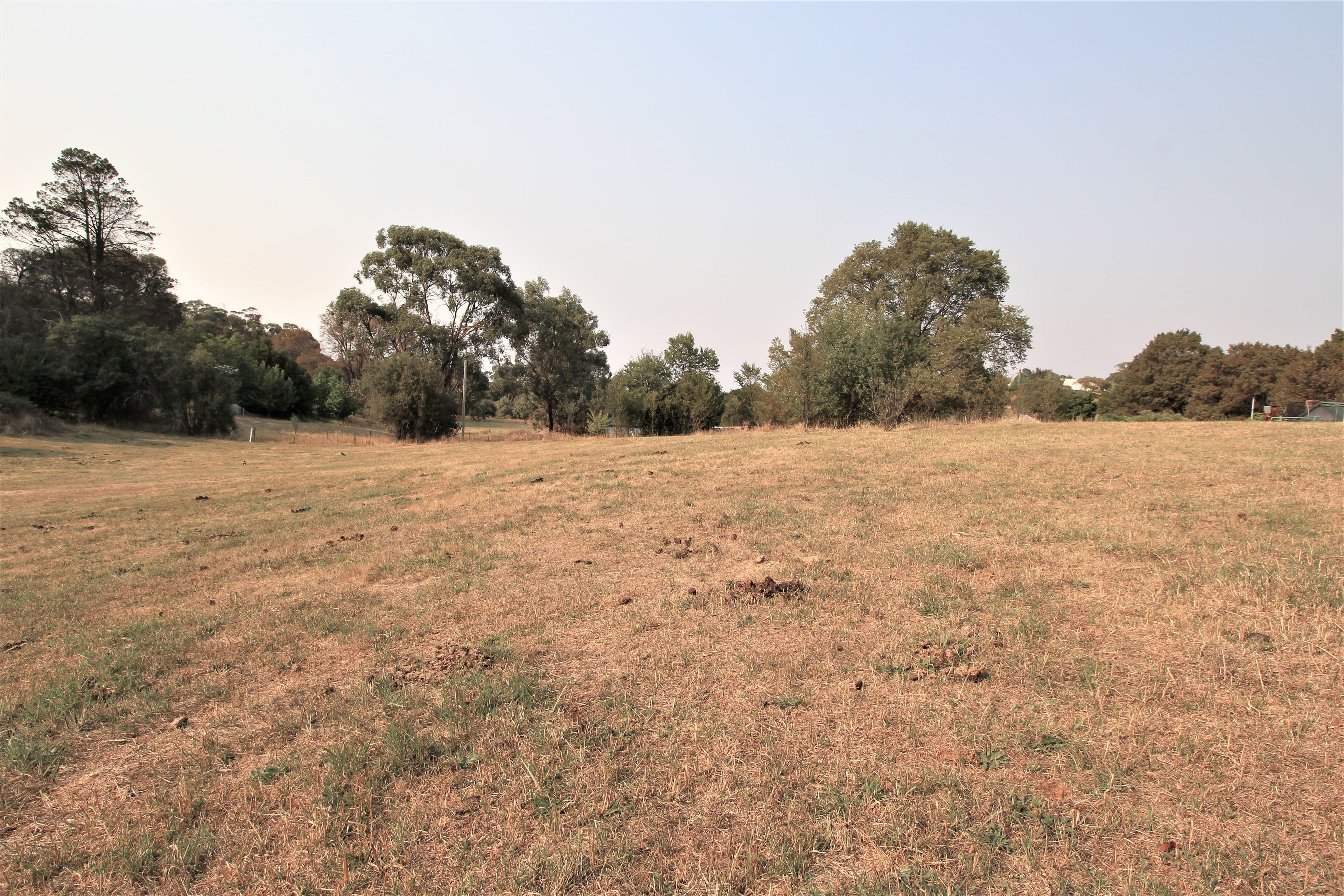 116 (lot 5) Batlow Road, Tumbarumba NSW 2653, Tumbarumba - Thumbnail 3