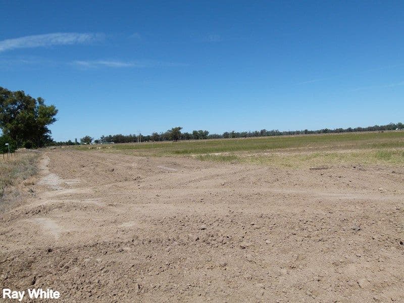 Lot 10 Wandary Lane, Forbes NSW 2871, Forbes - Image 1