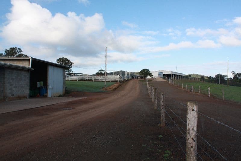 700 Neusavale Road, KIN KIN QLD 4571, Kin Kin - Thumbnail 6