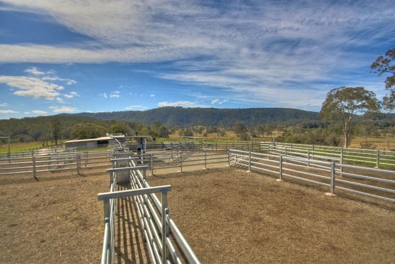 700 Neusavale Road, KIN KIN QLD 4571, Kin Kin - Thumbnail 7