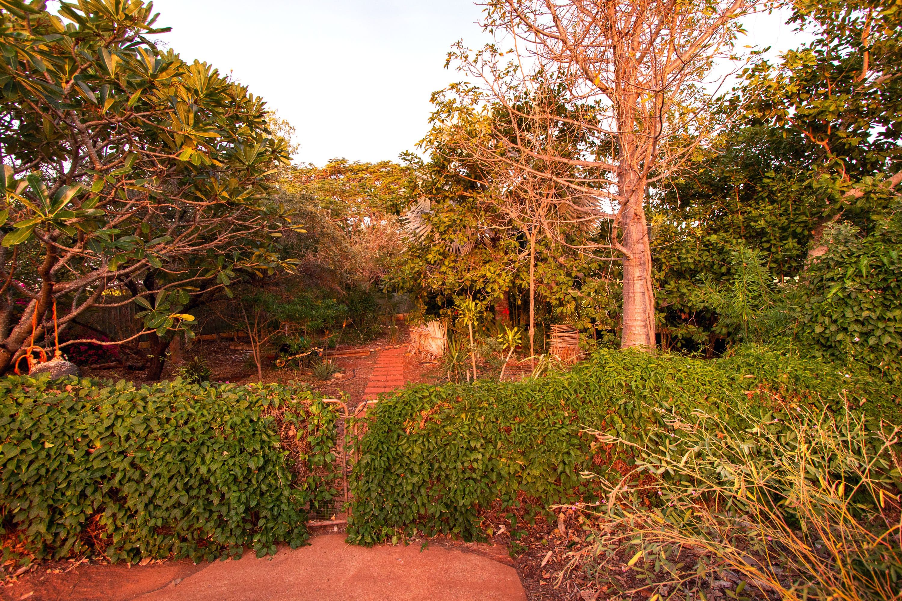 53 Dora Street, Broome WA 6725, Broome - Thumbnail 2