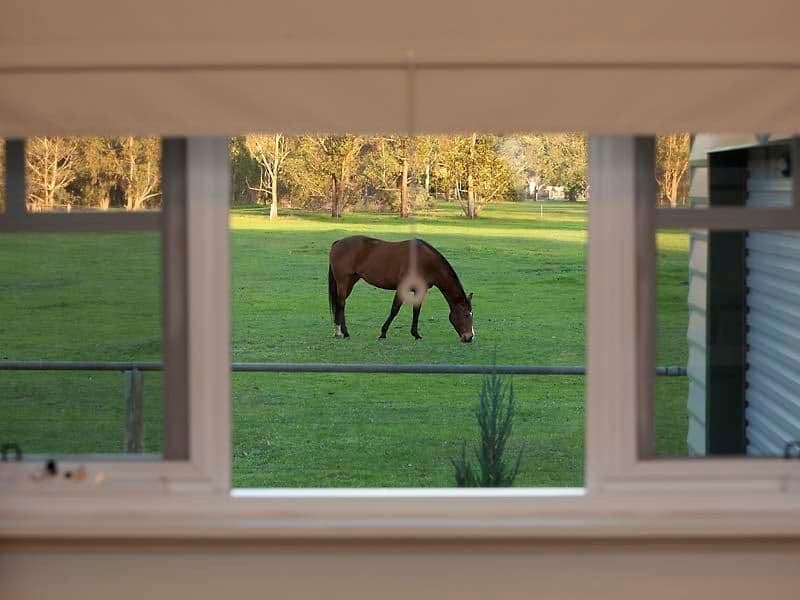 1 Roman Road, MUNDIJONG WA 6123, Mundijong - Thumbnail 3
