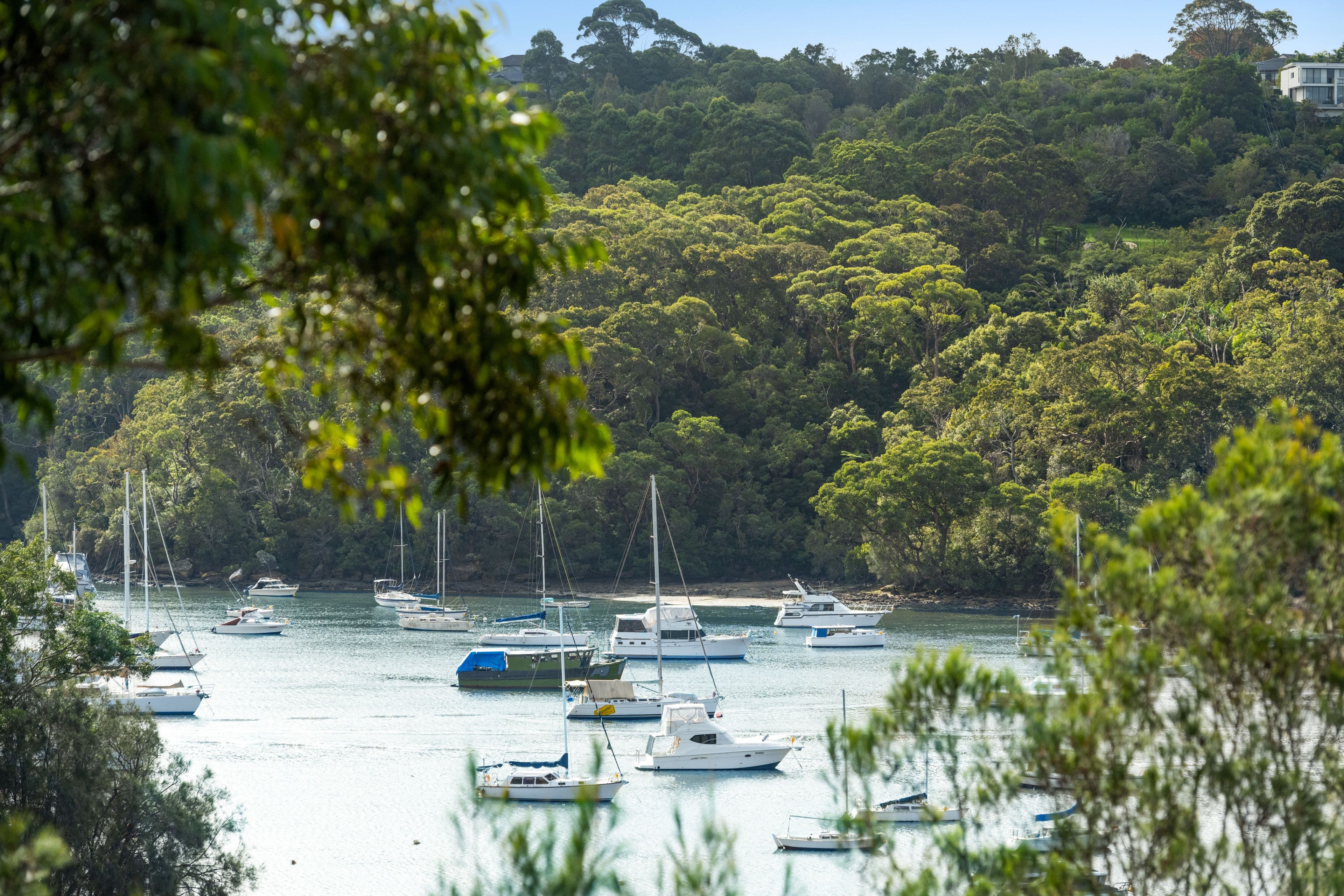 15 Wonga Road, Cremorne NSW 2090, Cremorne - Thumbnail 4