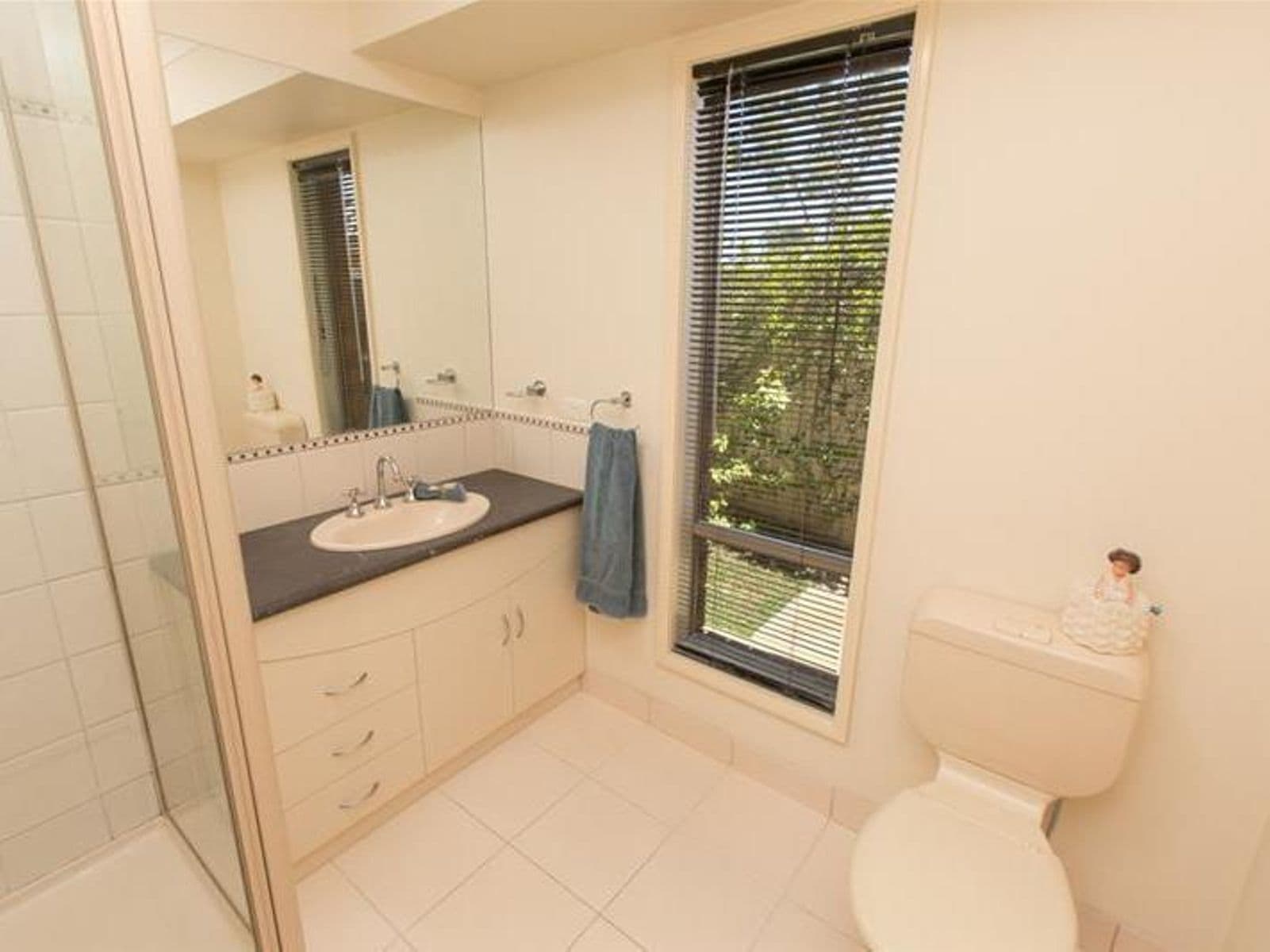 12 Mary Court, Robinvale - Thumbnail 8