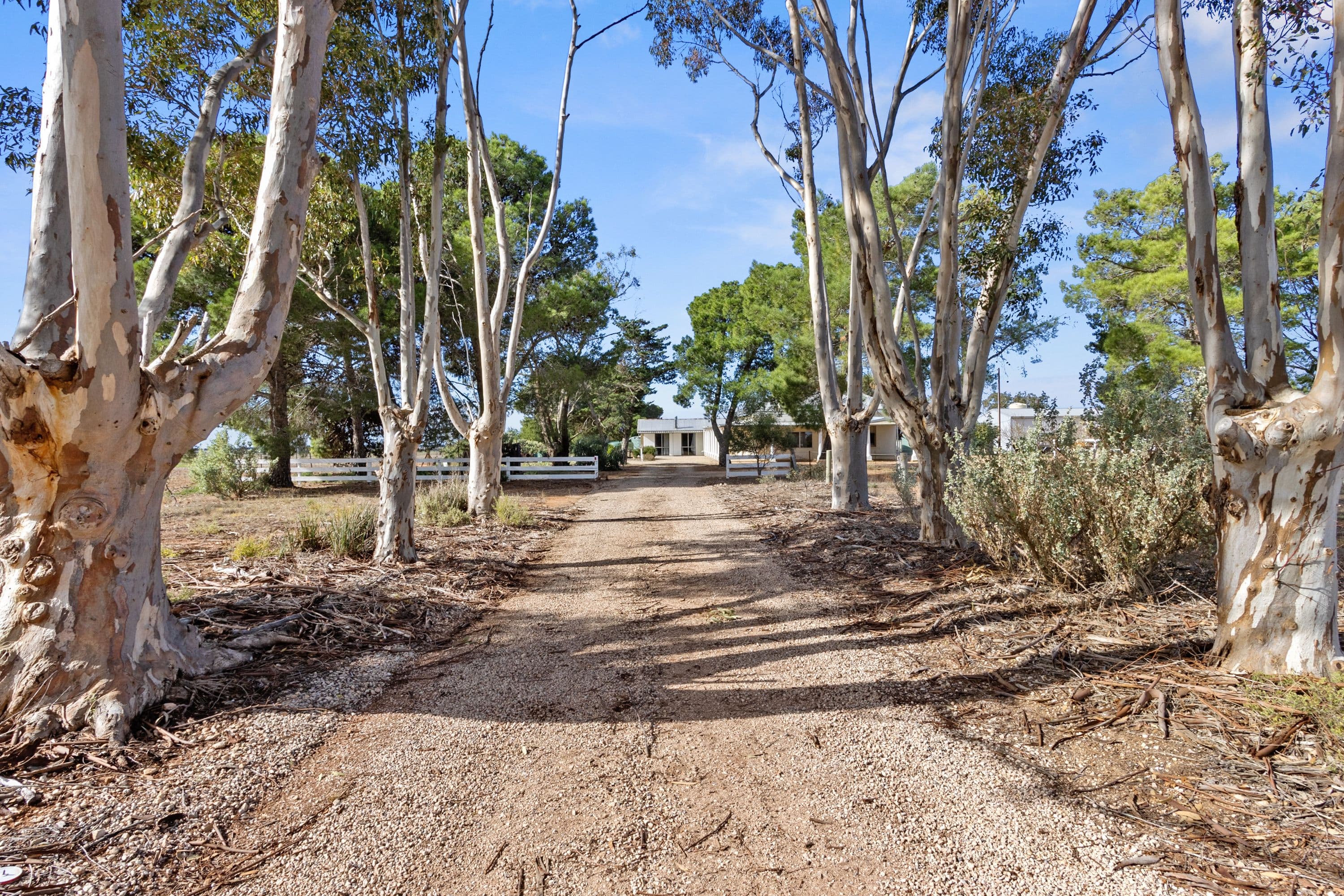 133 Piggery Corner Road, Cunningham SA 5571, Cunningham - Thumbnail 2