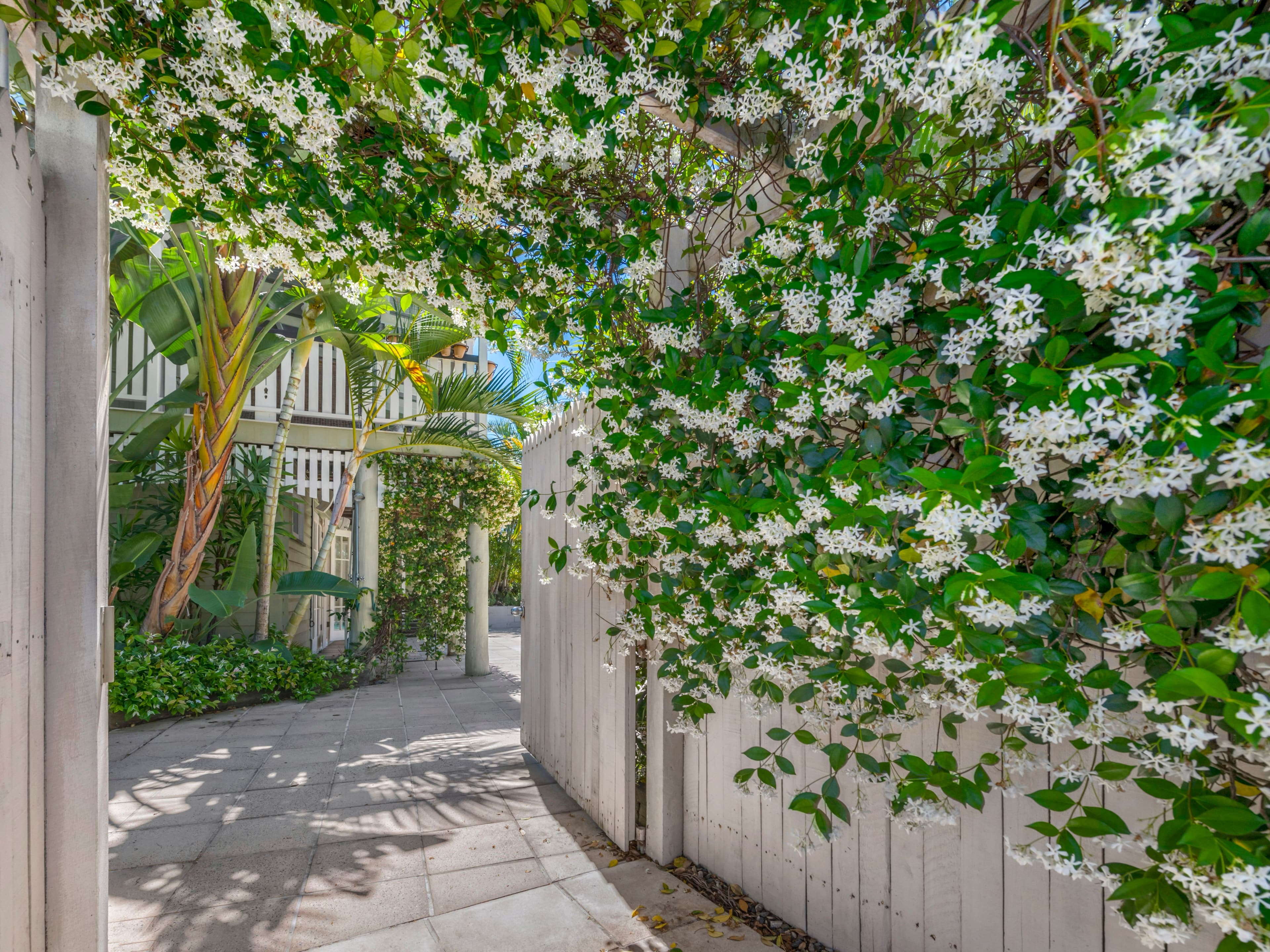 39 Anthony Street, Hamilton QLD 4007, Hamilton - Thumbnail 2