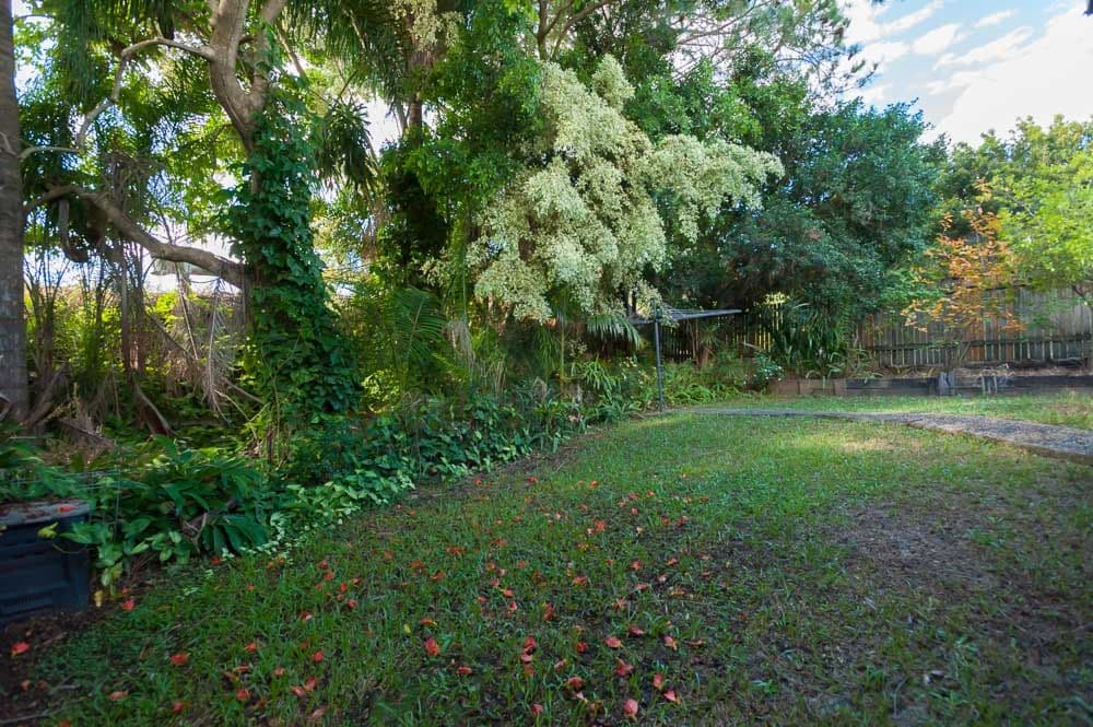 66 Avocado Crescent, BLI BLI QLD 4560, Bli Bli - Thumbnail 7