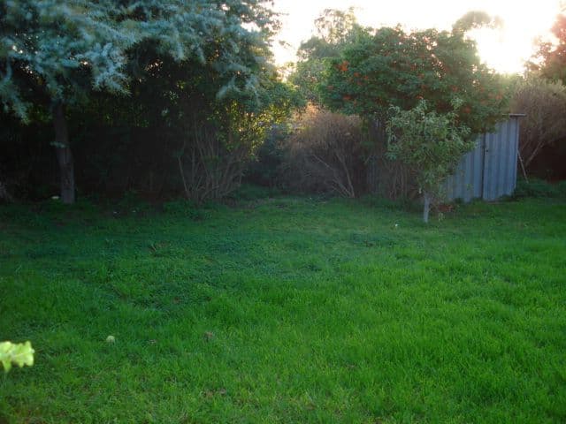 6 Treves Street, ELIZABETH VALE SA 5112, Elizabeth Vale - Thumbnail 7
