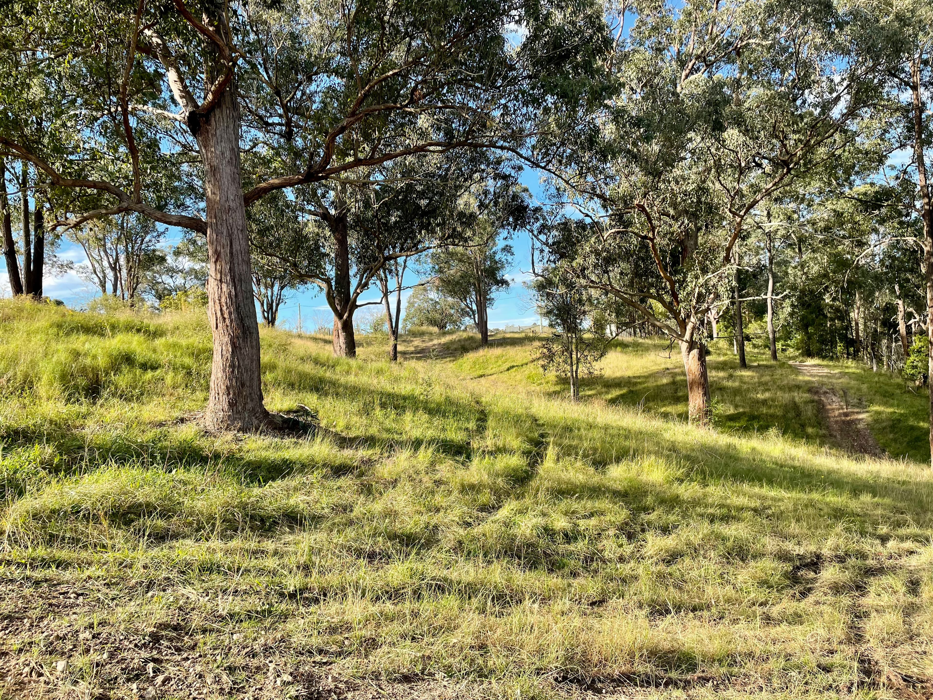27 Hart Street, Clarence Town NSW 2321, Clarence Town - Thumbnail 5