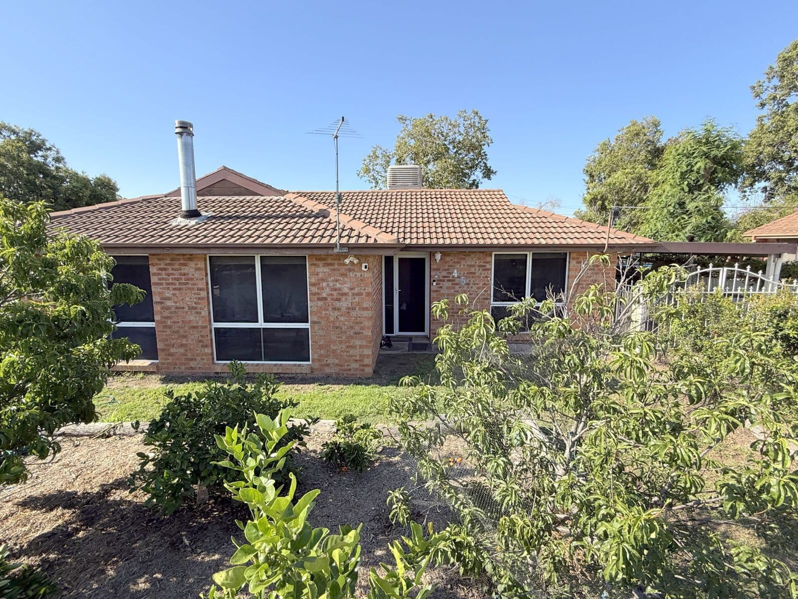 45 Blueberry Road, Moree NSW 2400, Moree - Image 1