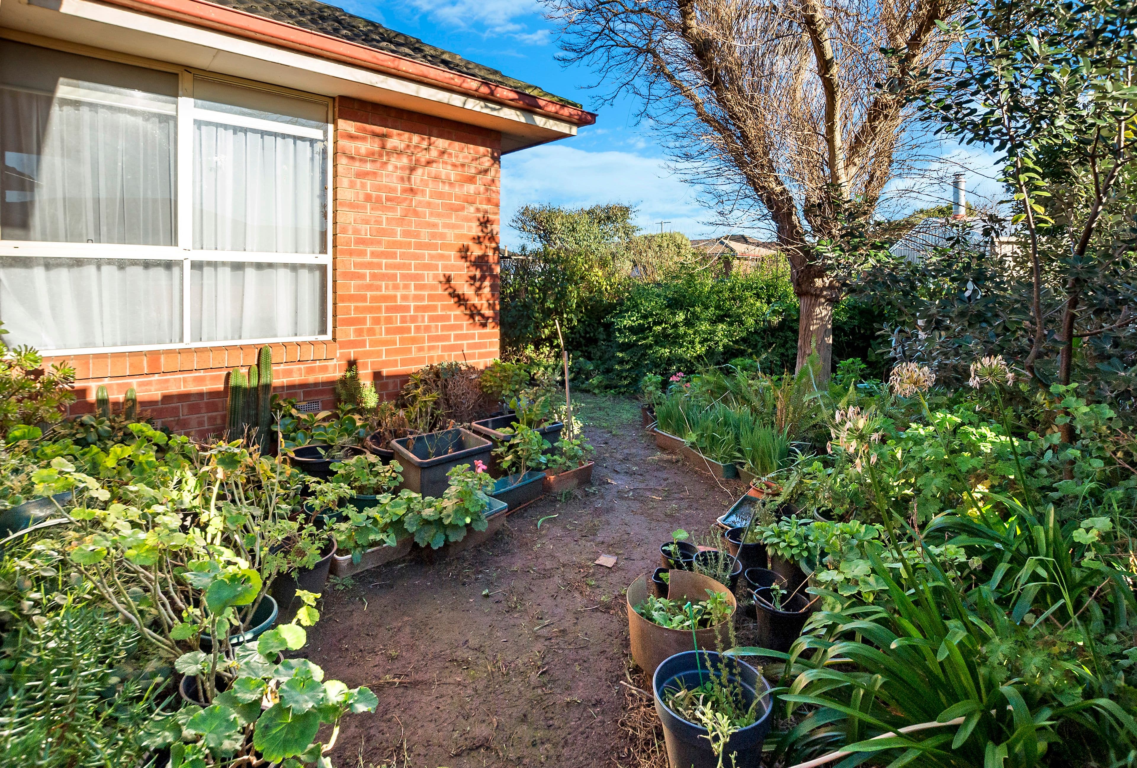 113 McGregors Road, Warrnambool VIC 3280, Warrnambool - Thumbnail 6
