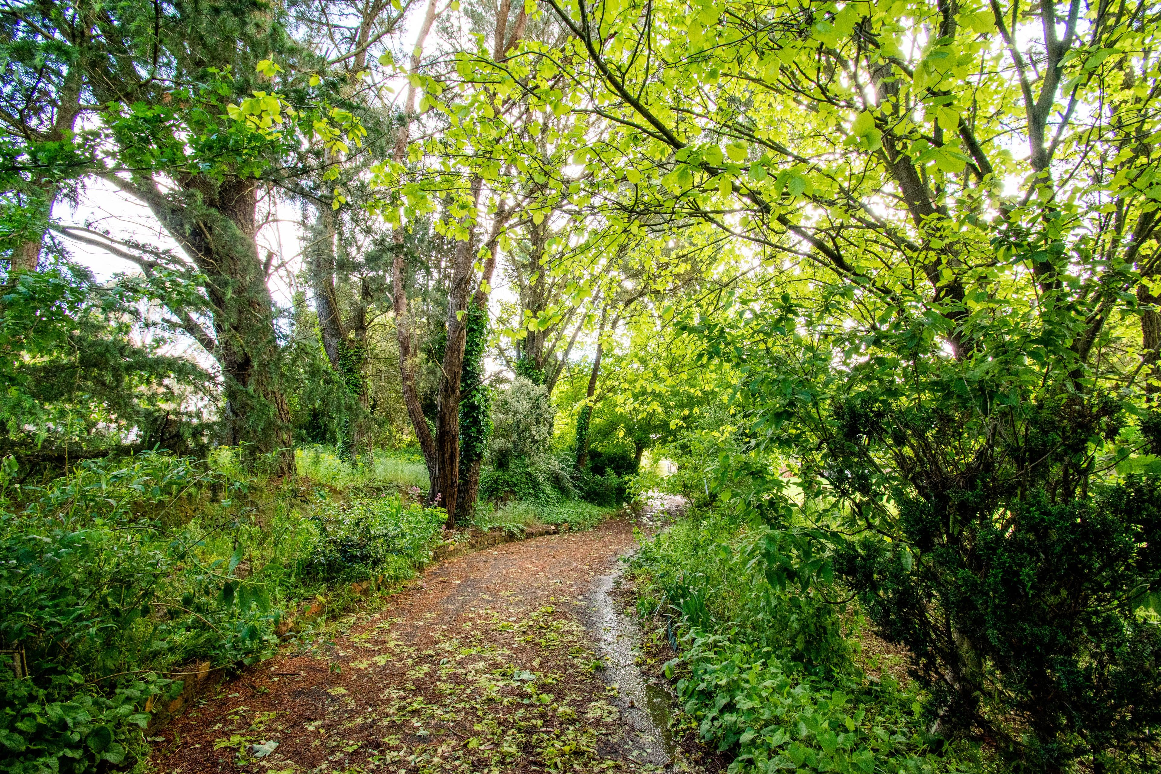 36 Duckmaloi Road, Oberon NSW 2787, Oberon - Thumbnail 2