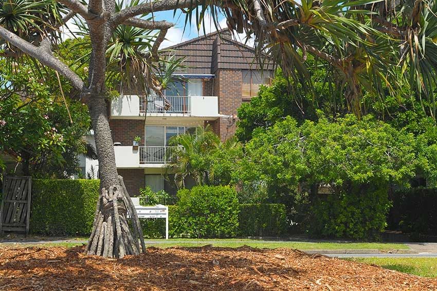 18 Tomewin Street, Currumbin QLD 4223, Currumbin - Thumbnail 6