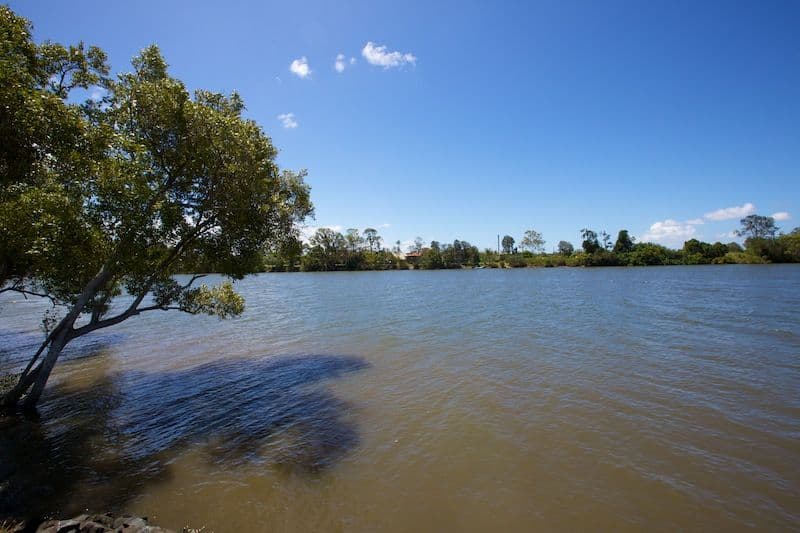 31 North Bank Court, HELENSVALE QLD 4212, Helensvale - Thumbnail 3