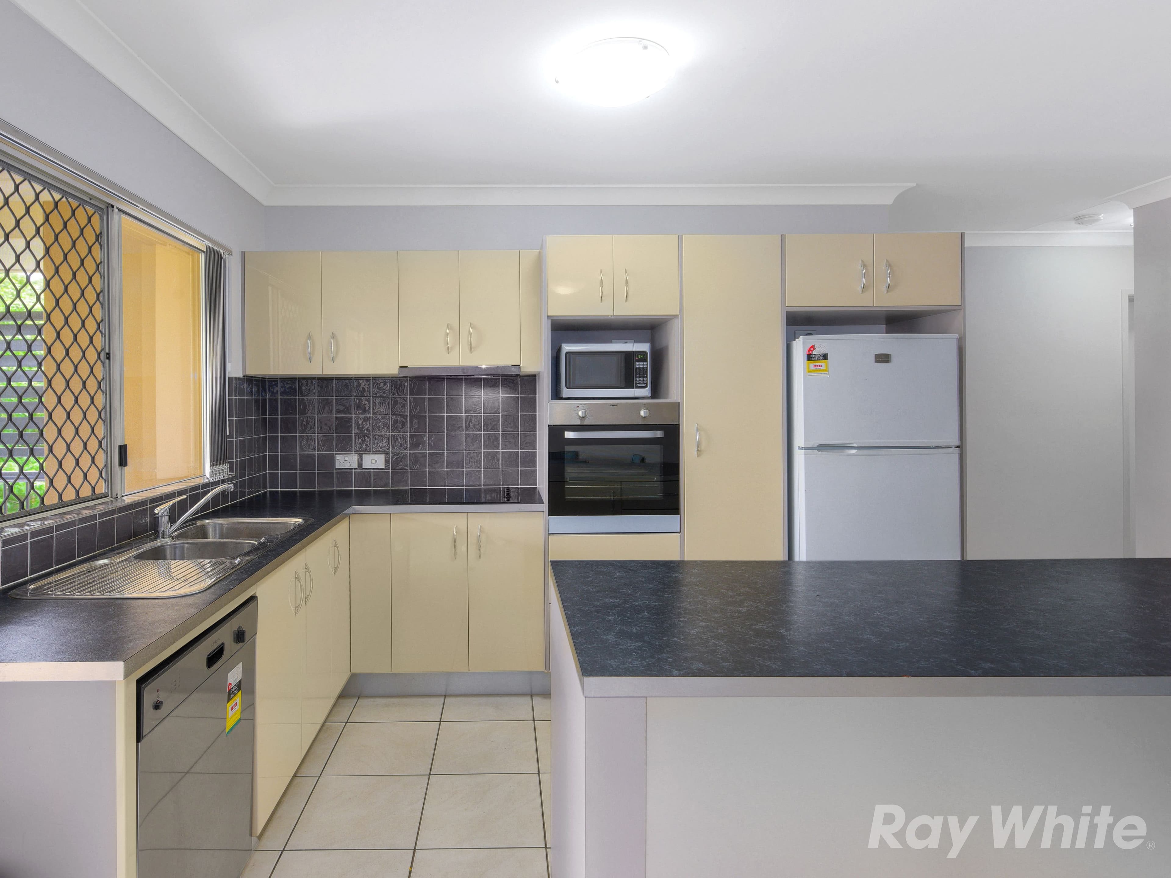 100 Glenalva Terrace, Enoggera QLD 4051, Enoggera - Thumbnail 6