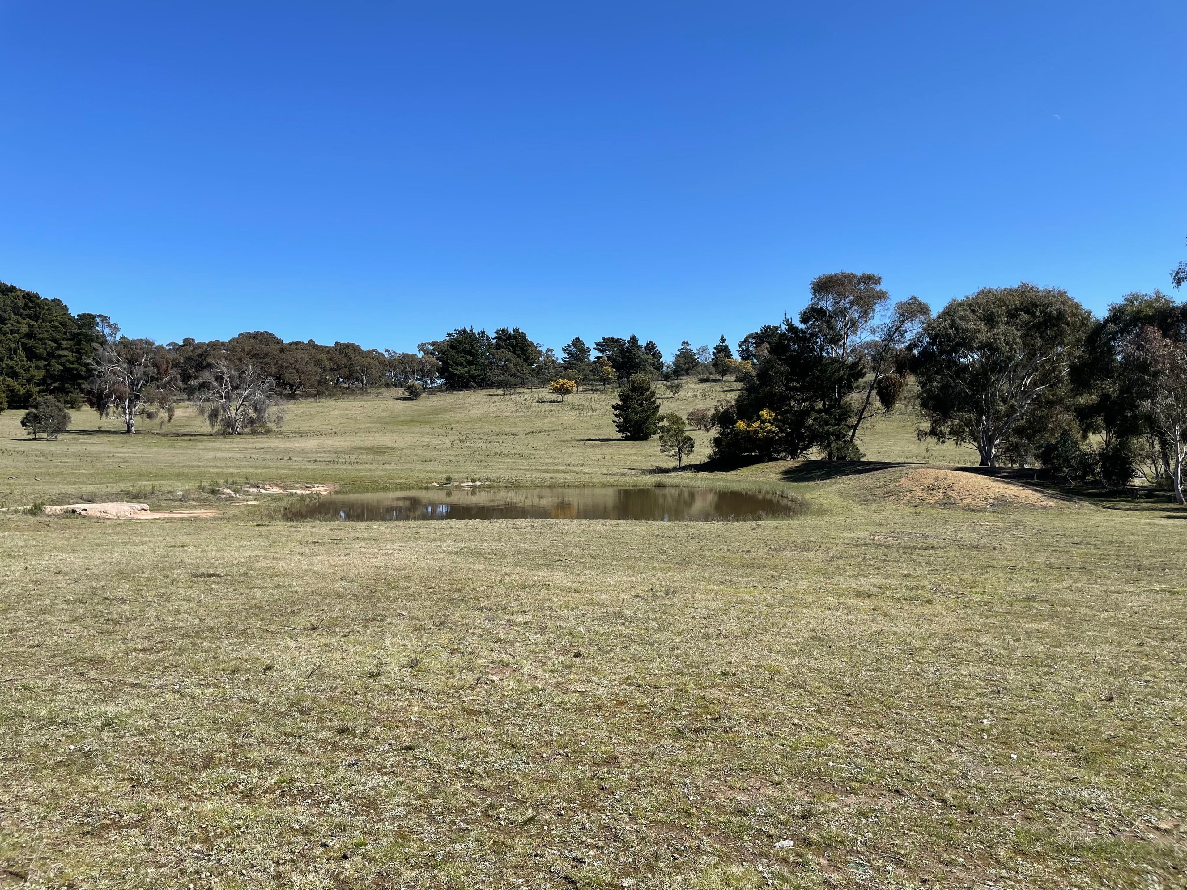 566 Macs Reef Road, Bywong NSW 2621, Bywong - Thumbnail 5