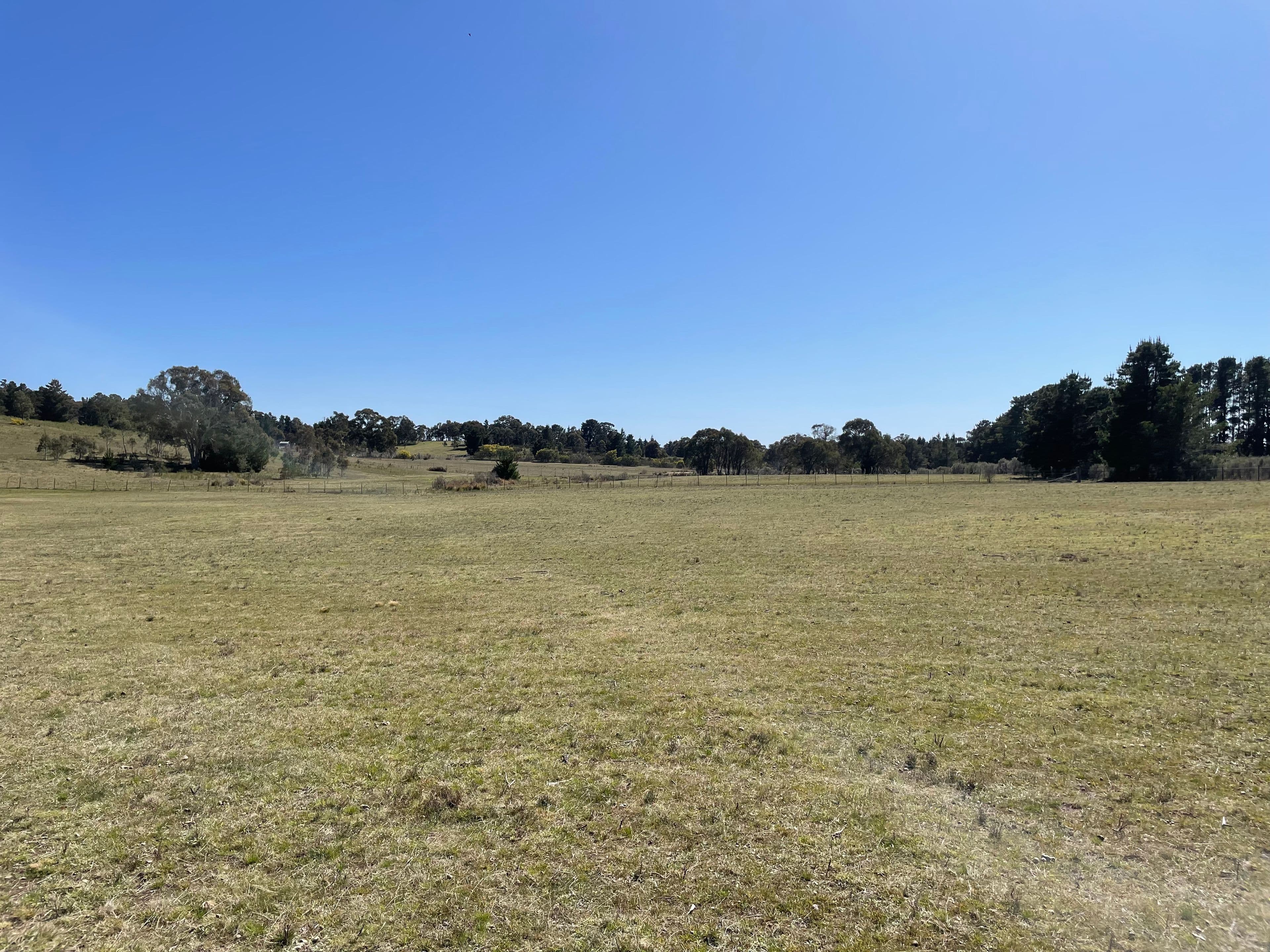 566 Macs Reef Road, Bywong NSW 2621, Bywong - Thumbnail 6