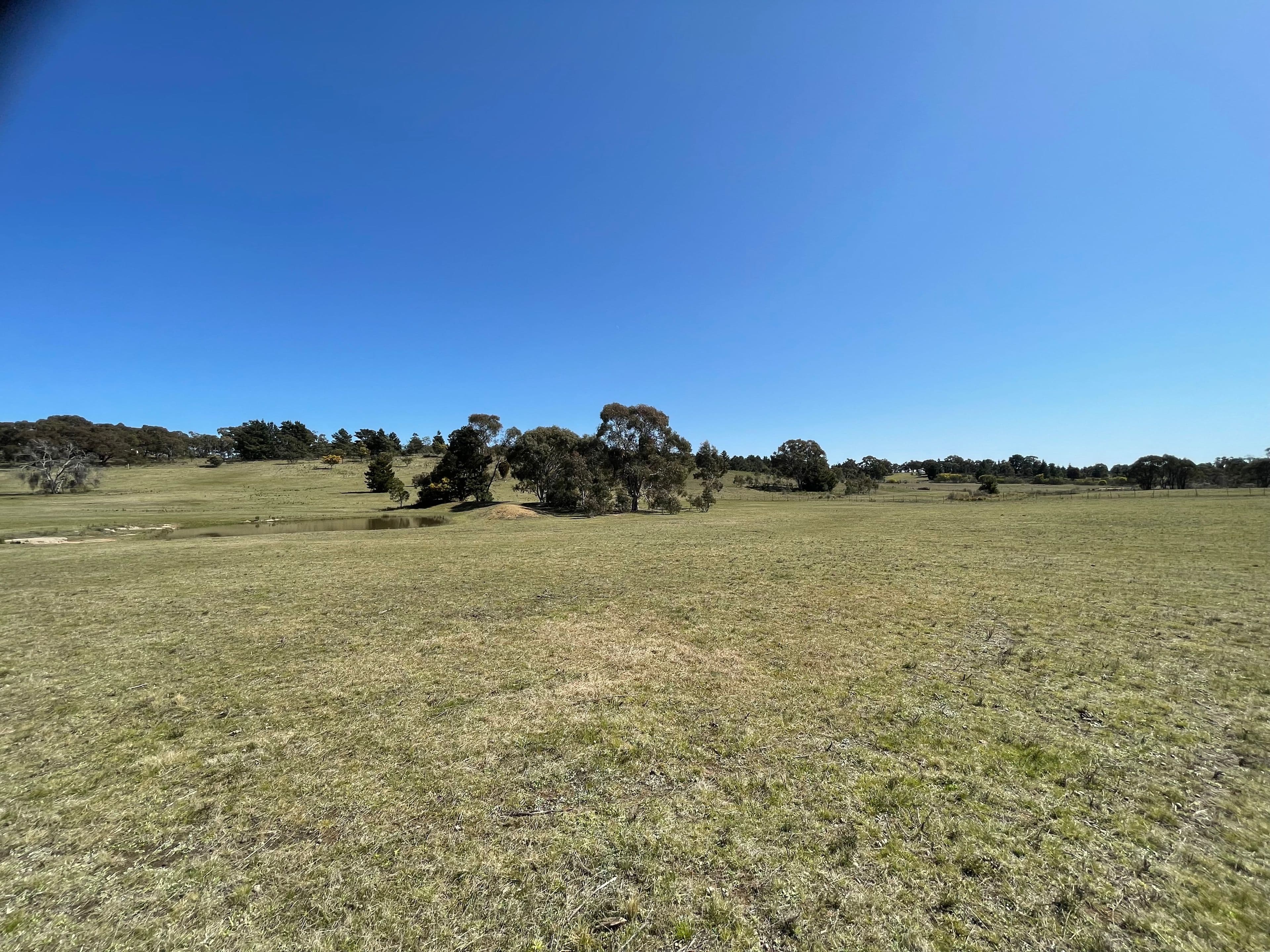 566 Macs Reef Road, Bywong NSW 2621, Bywong - Thumbnail 7