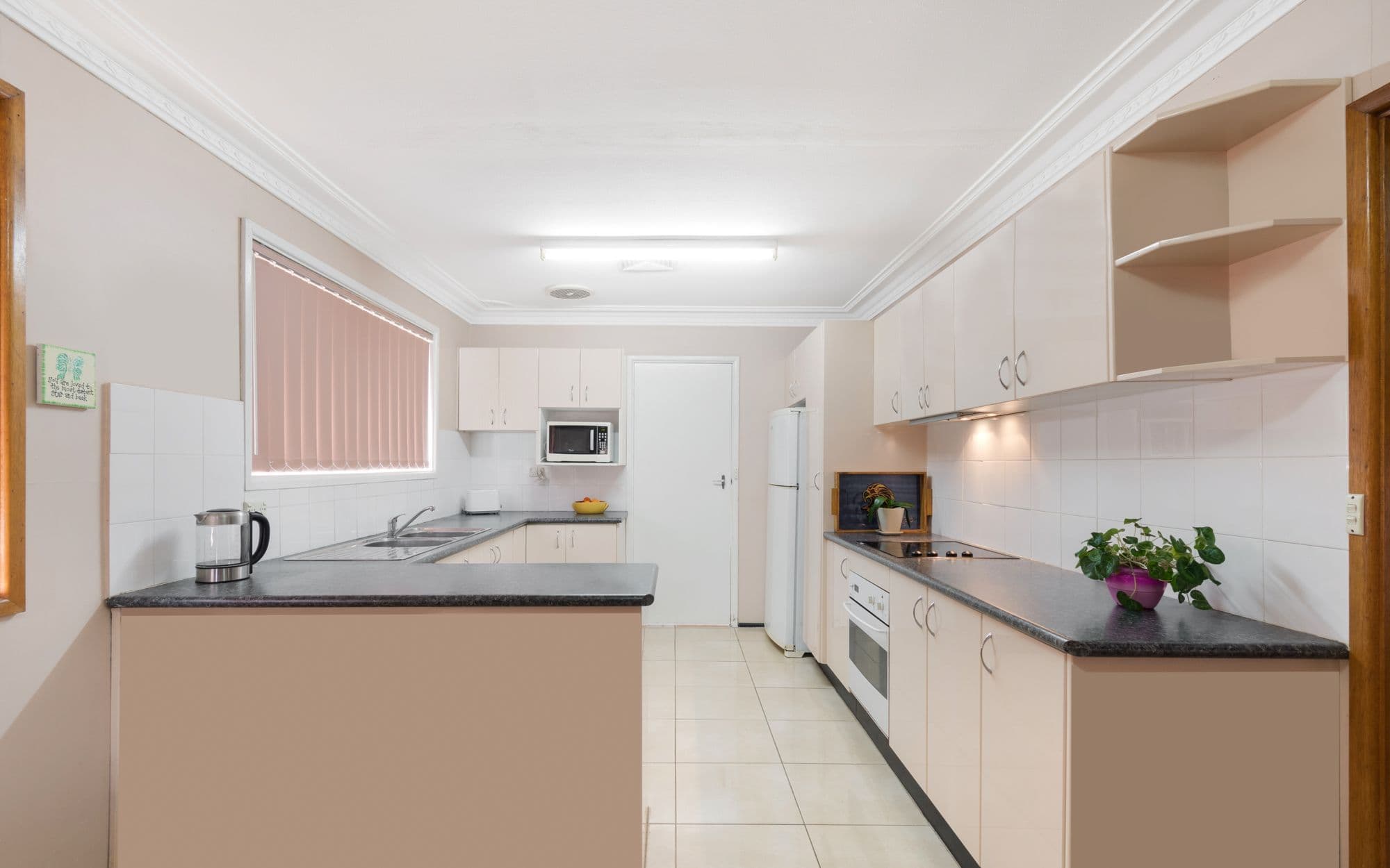 8 Treelands Avenue, Ingleburn NSW 2565, Ingleburn - Thumbnail 2