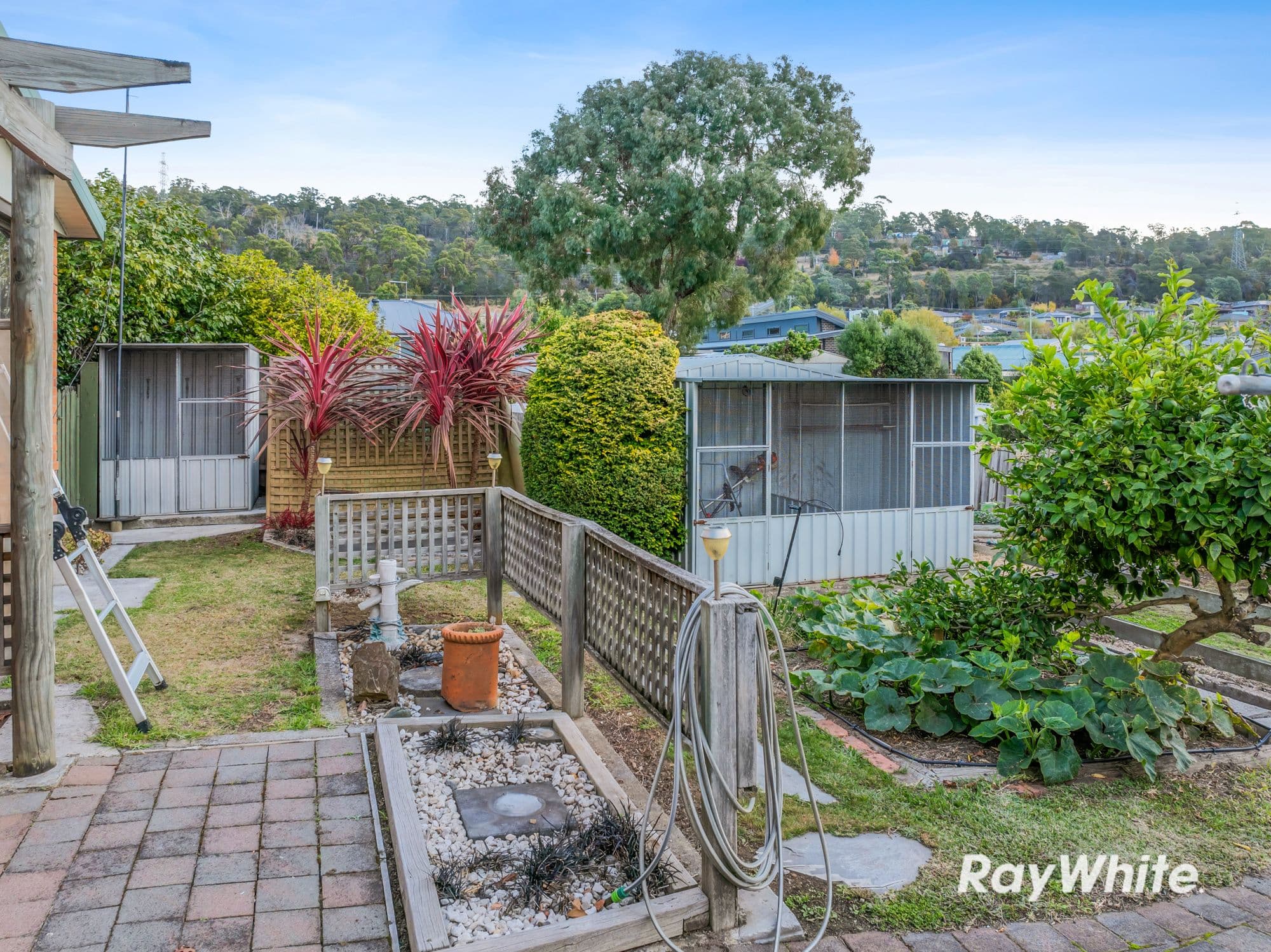 7 Morley Road, Riverside TAS 7250, Riverside - Thumbnail 6