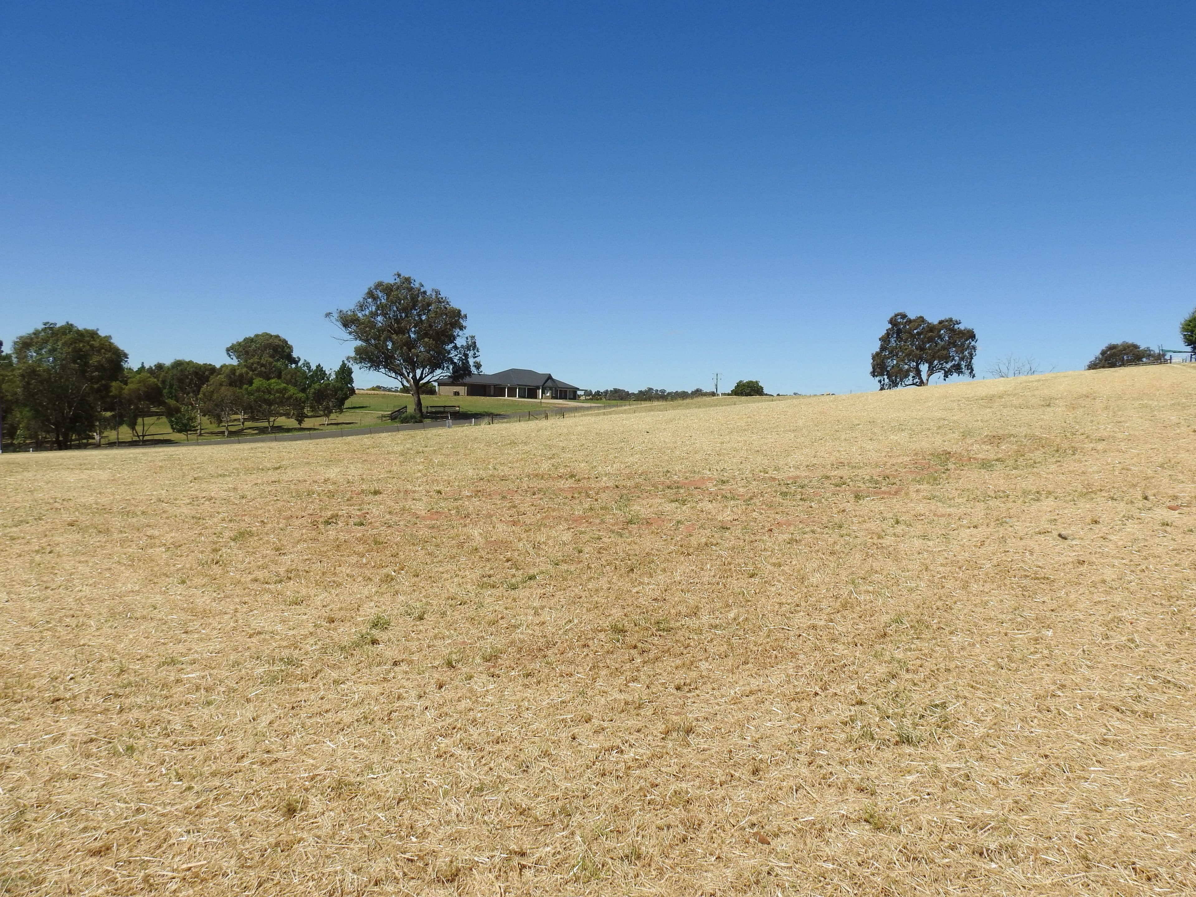 59 Windermere Street, Young NSW 2594, Young - Thumbnail 3