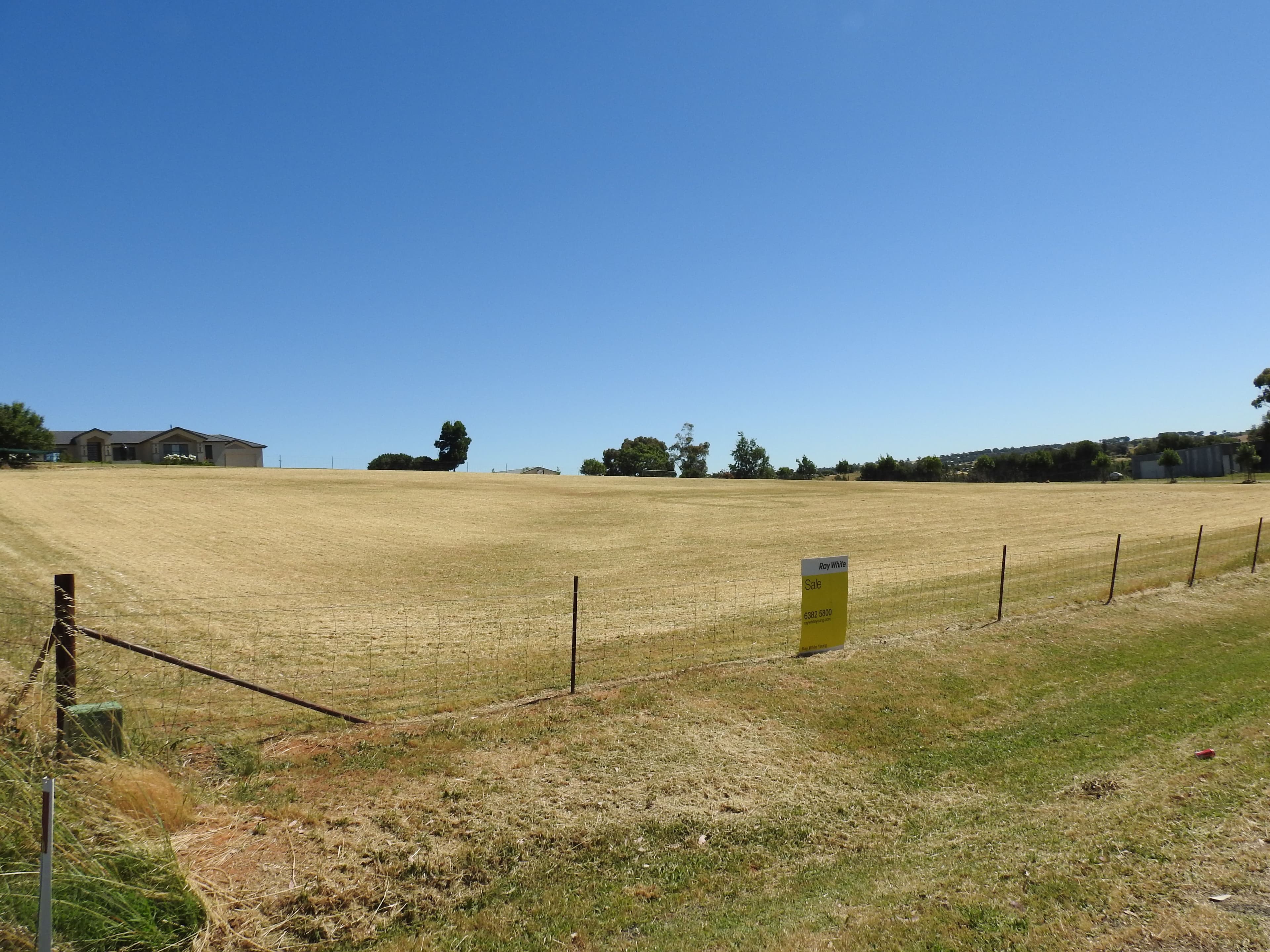 59 Windermere Street, Young NSW 2594, Young - Thumbnail 5