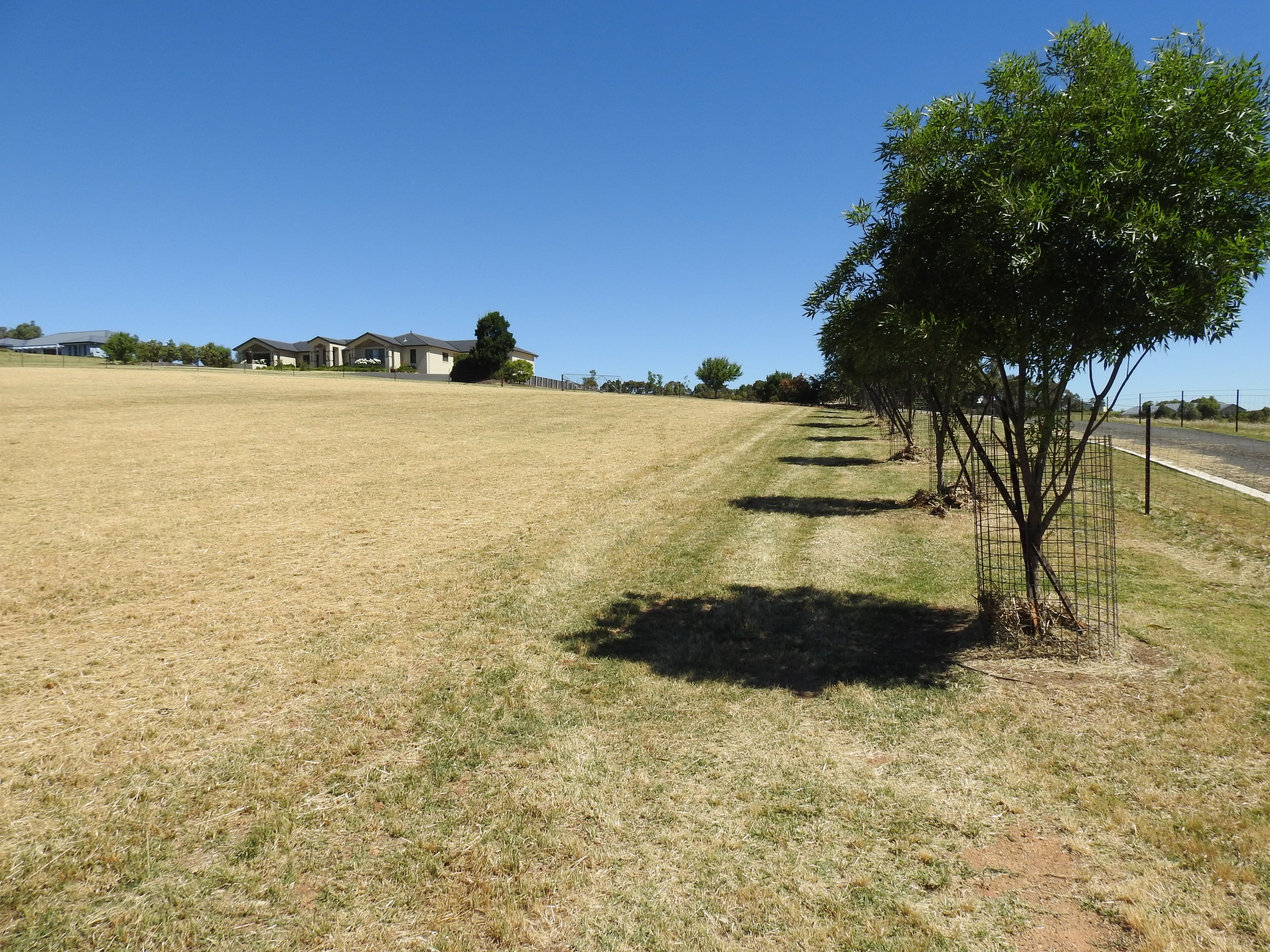 59 Windermere Street, Young NSW 2594, Young - Thumbnail 6
