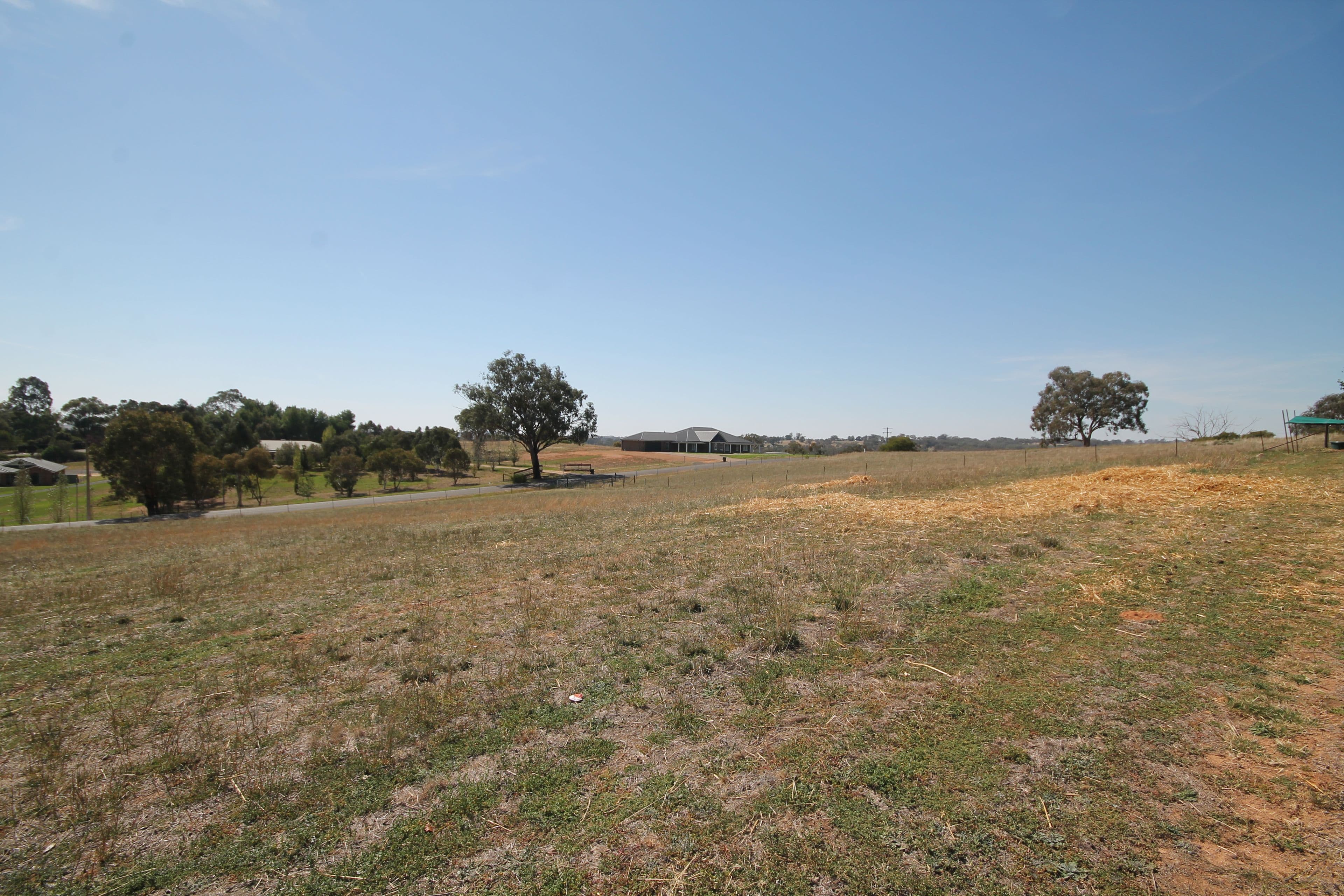 59 Windermere Street, Young NSW 2594, Young - Thumbnail 7