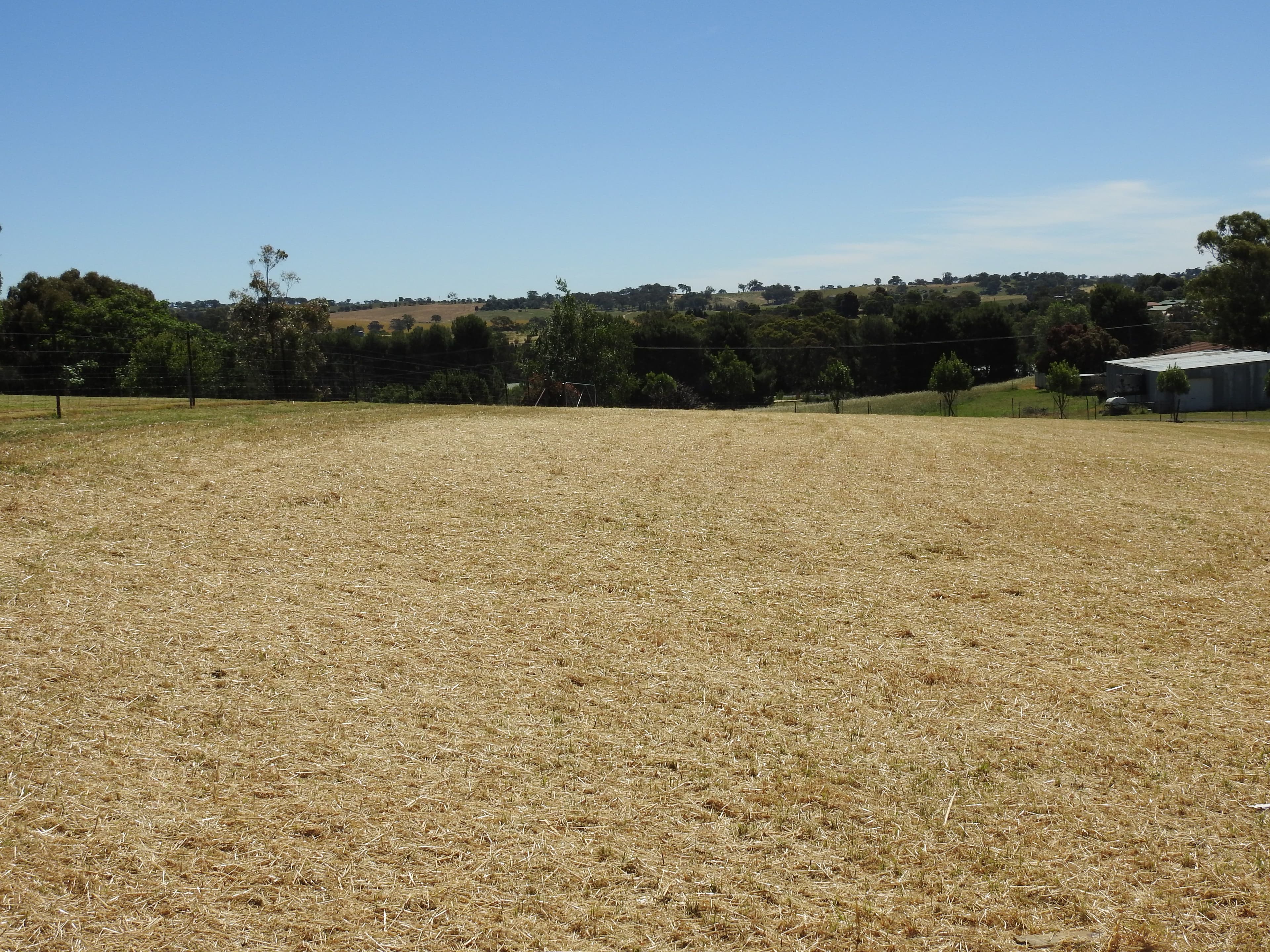 59 Windermere Street, Young NSW 2594, Young - Thumbnail 8