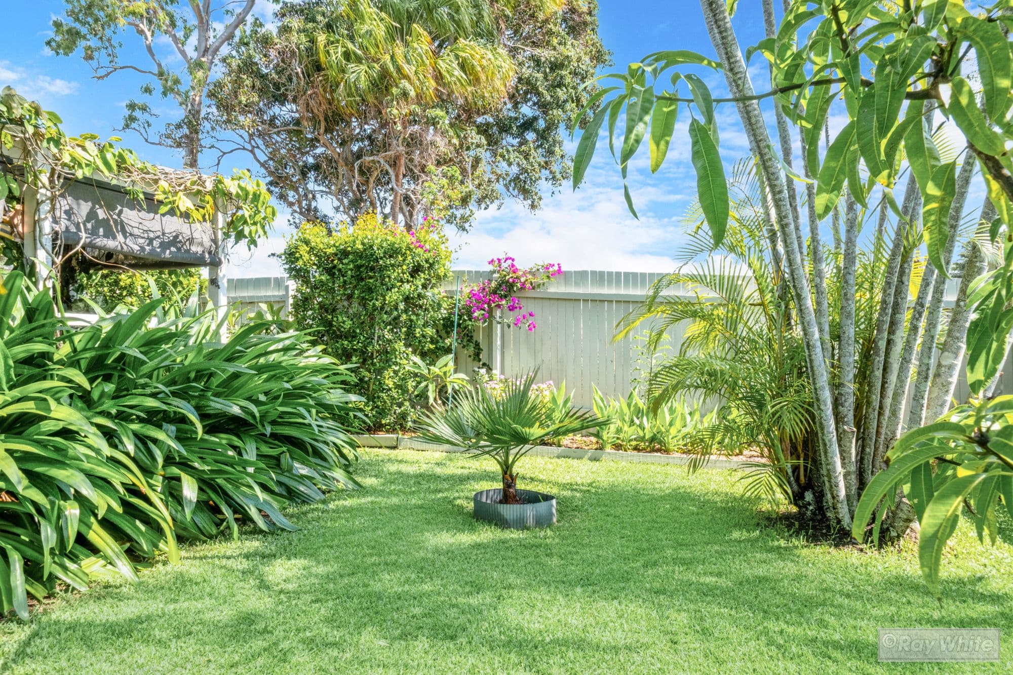 1039 Scenic Highway, Kinka Beach QLD 4703, Kinka Beach - Thumbnail 7